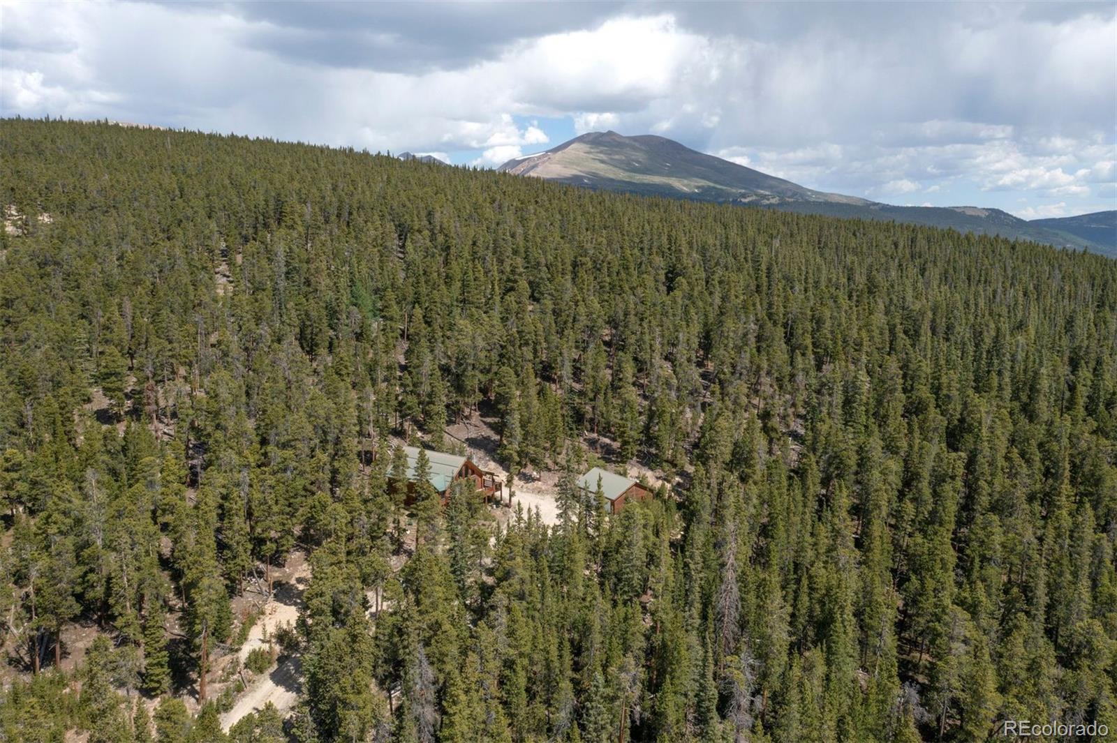 MLS Image #43 for 725  zebulon street,fairplay, Colorado