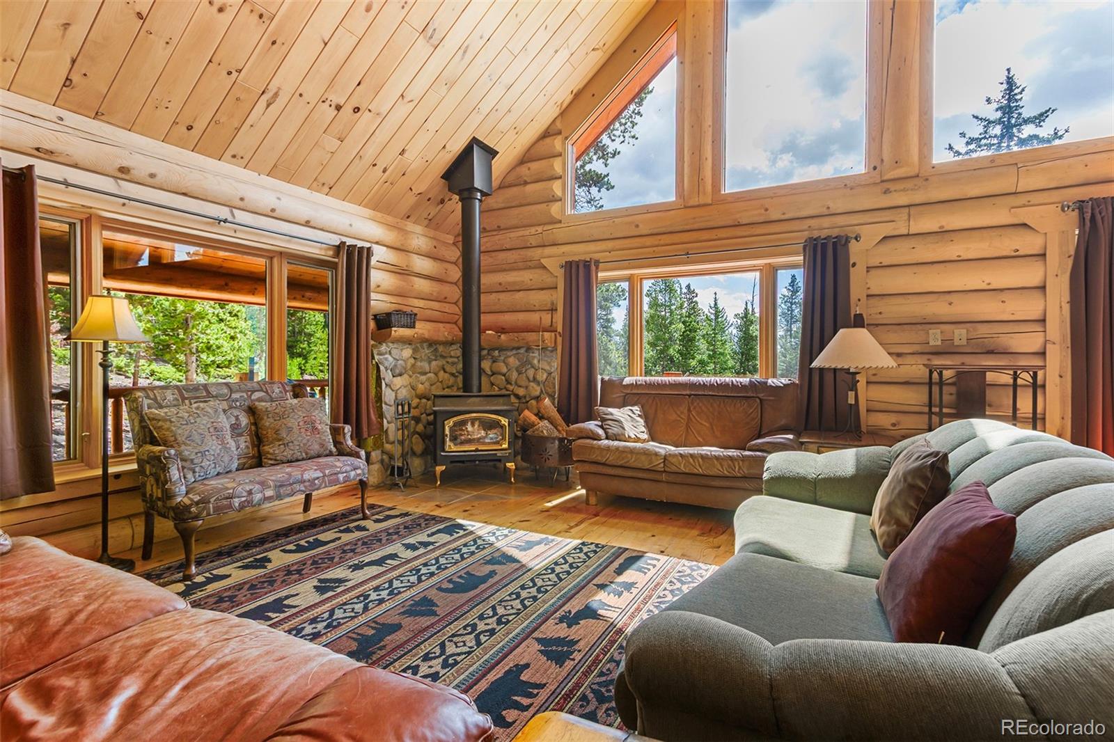 MLS Image #5 for 725  zebulon street,fairplay, Colorado