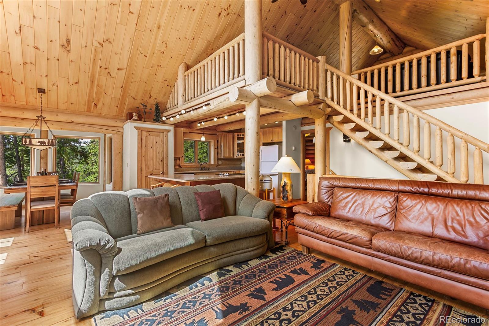 MLS Image #6 for 725  zebulon street,fairplay, Colorado