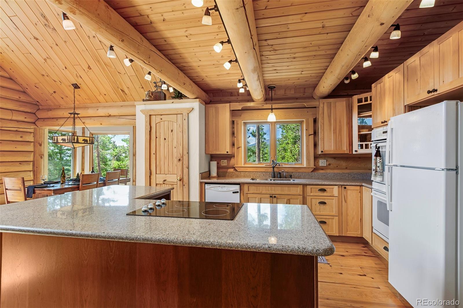 MLS Image #7 for 725  zebulon street,fairplay, Colorado