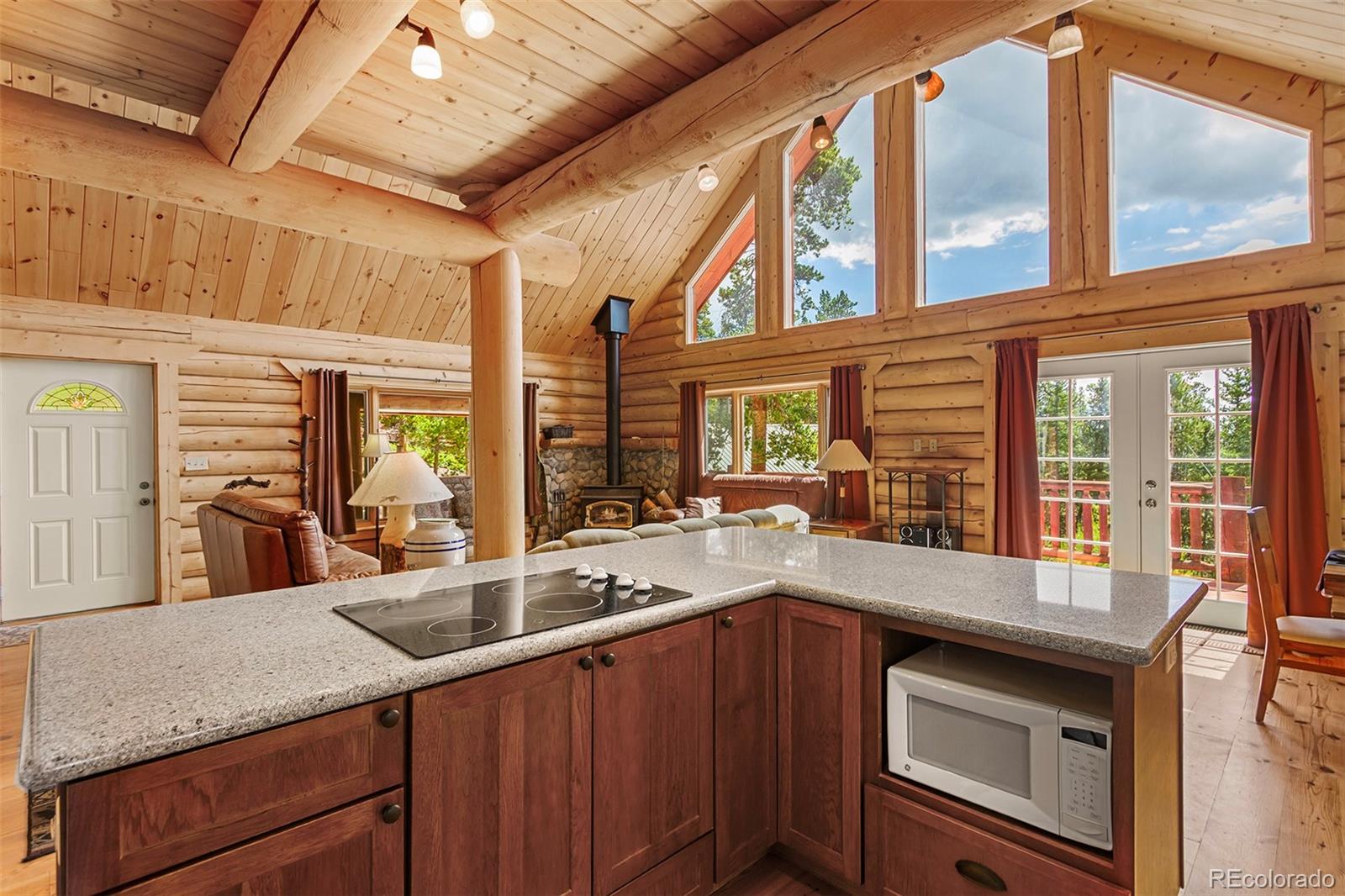 MLS Image #8 for 725  zebulon street,fairplay, Colorado