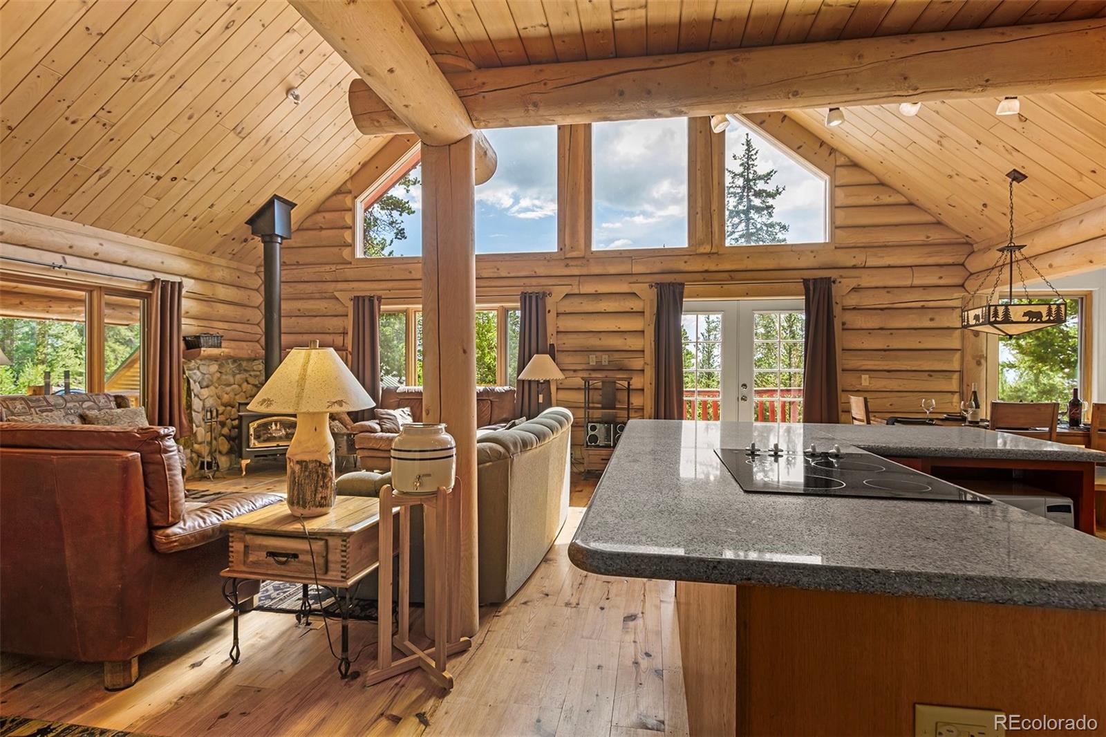 MLS Image #9 for 725  zebulon street,fairplay, Colorado