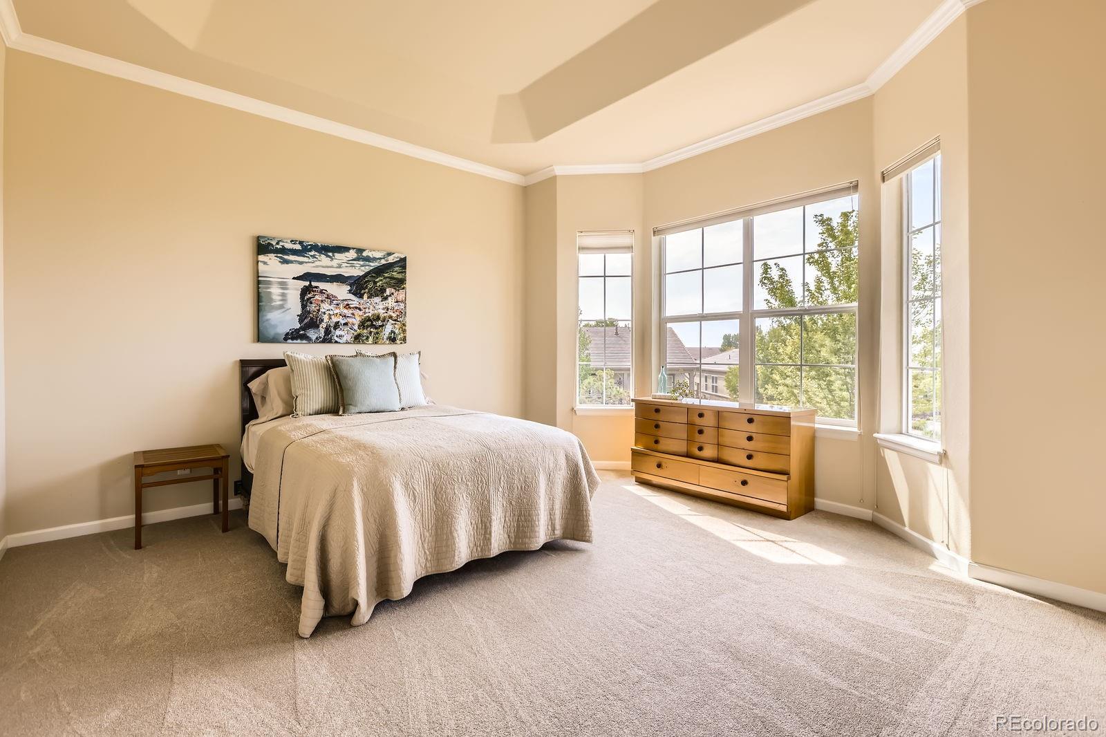 MLS Image #13 for 16075  quandary loop,broomfield, Colorado