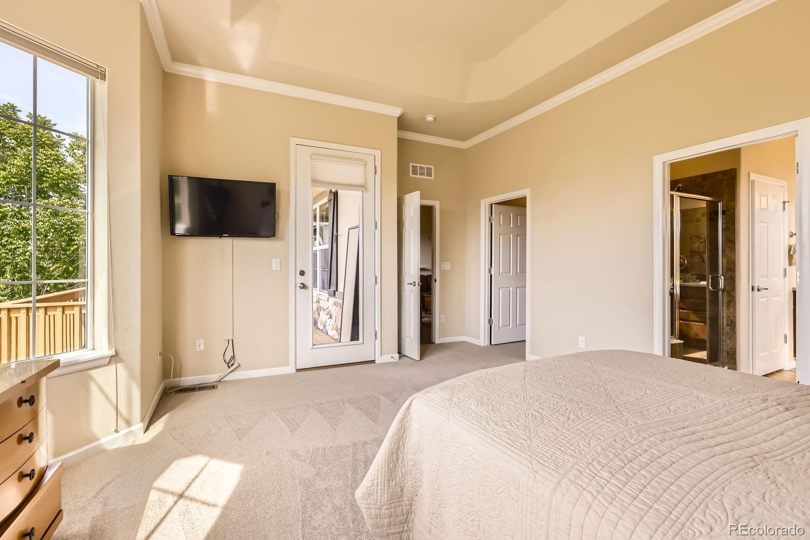 MLS Image #14 for 16075  quandary loop,broomfield, Colorado