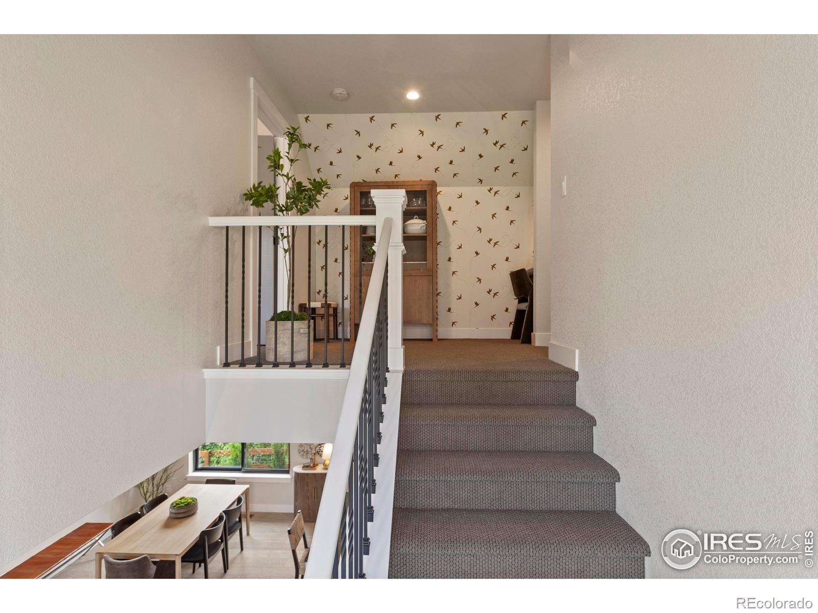 MLS Image #20 for 4306  dixon street,timnath, Colorado