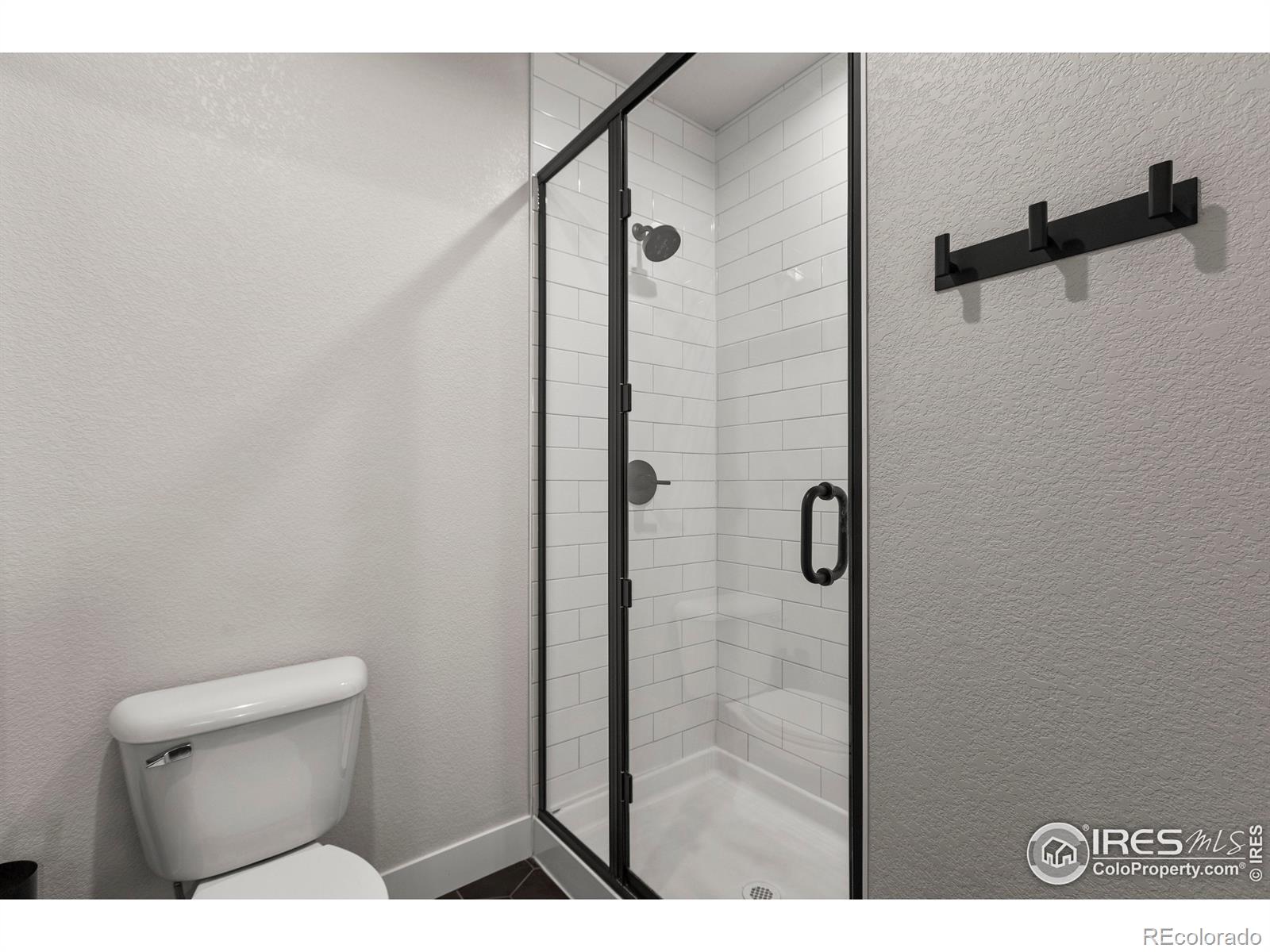 MLS Image #30 for 4306  dixon street,timnath, Colorado