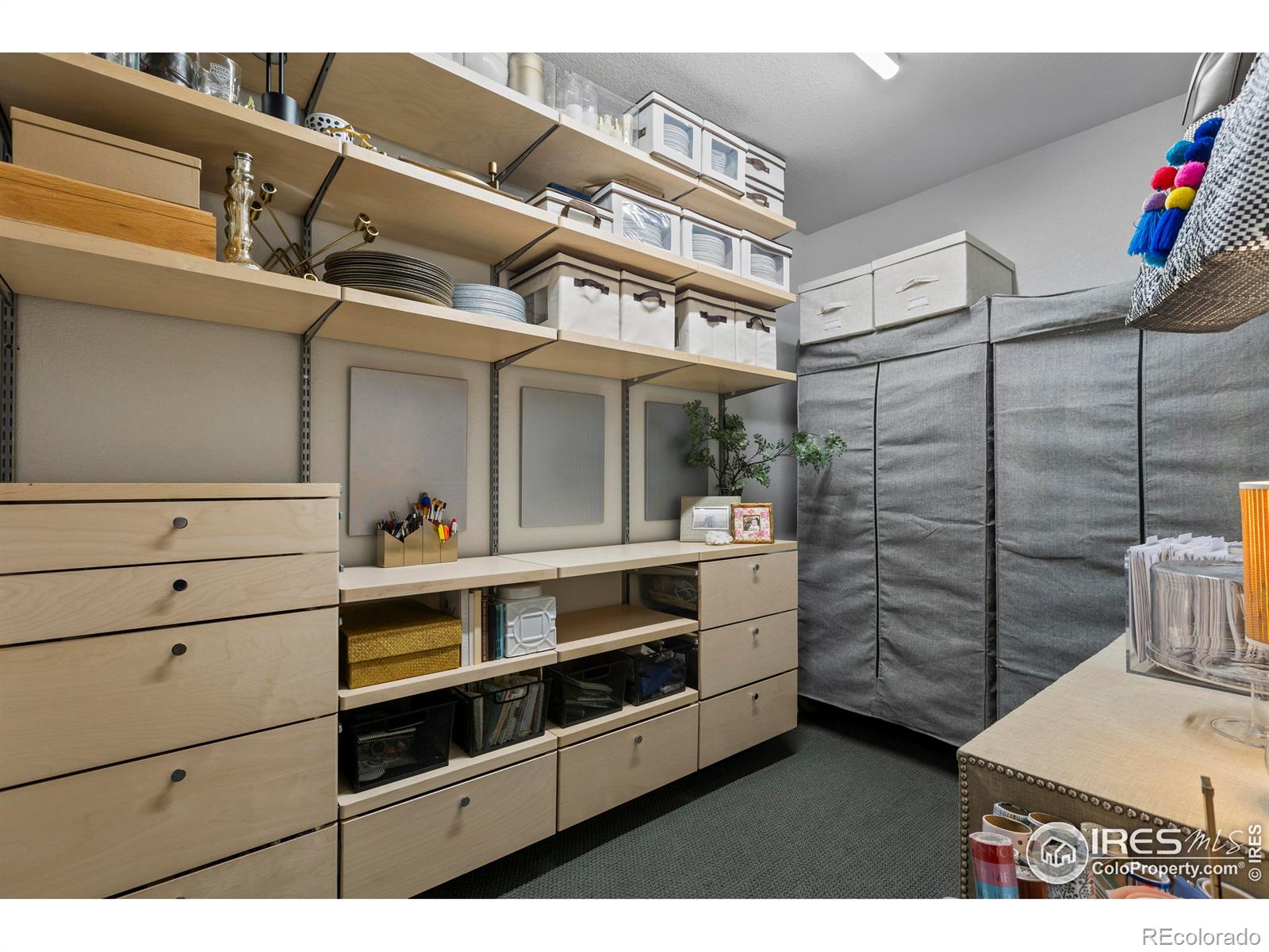 MLS Image #33 for 4306  dixon street,timnath, Colorado