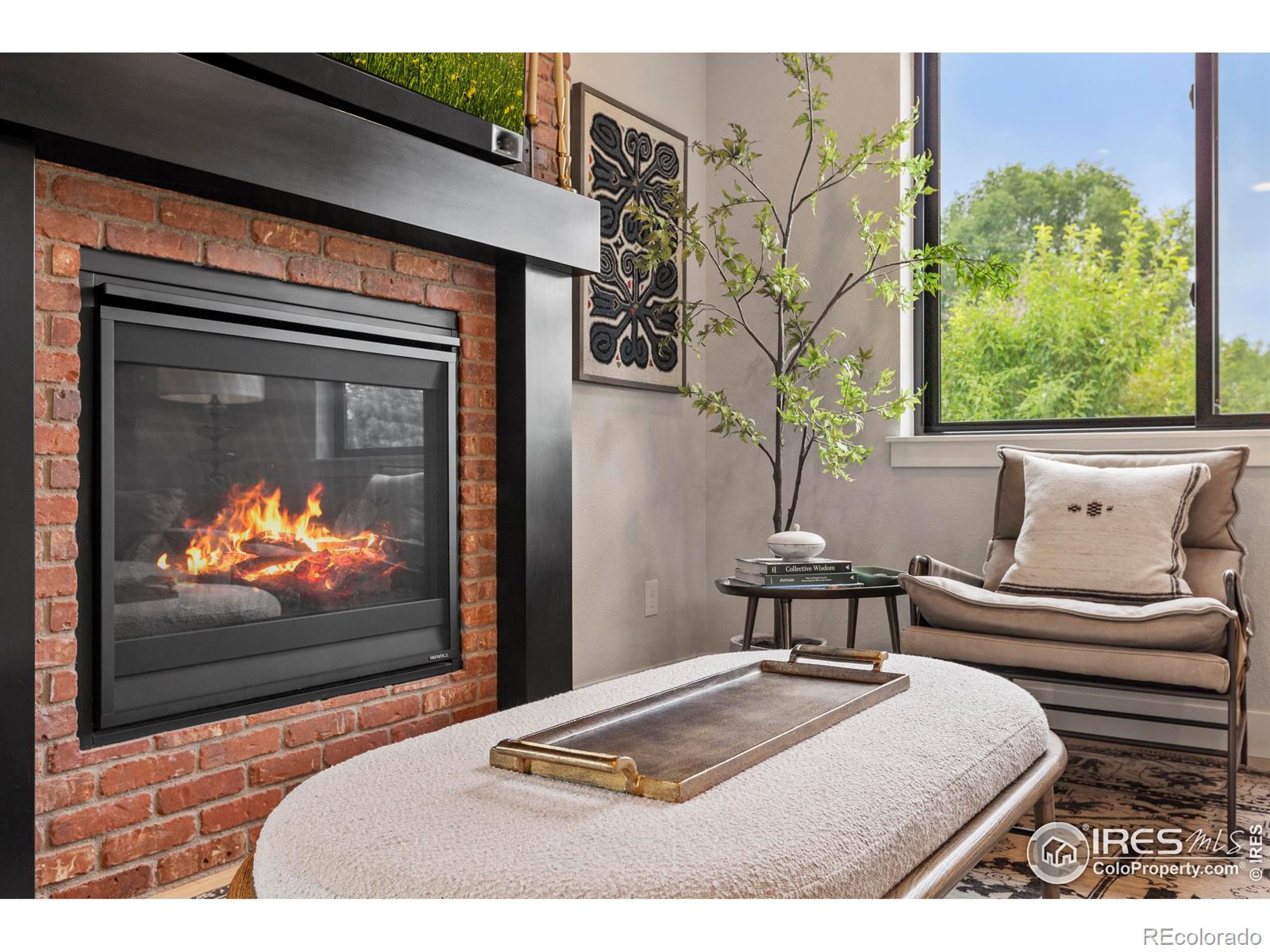 MLS Image #4 for 4306  dixon street,timnath, Colorado