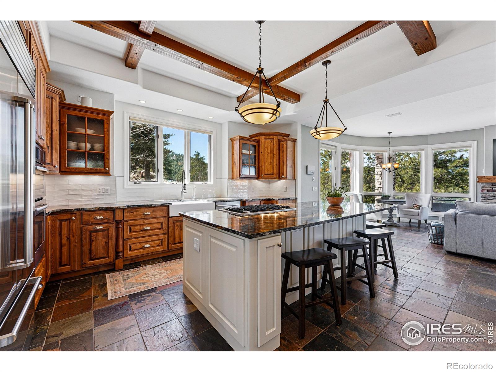 MLS Image #23 for 290  skyhill drive,evergreen, Colorado