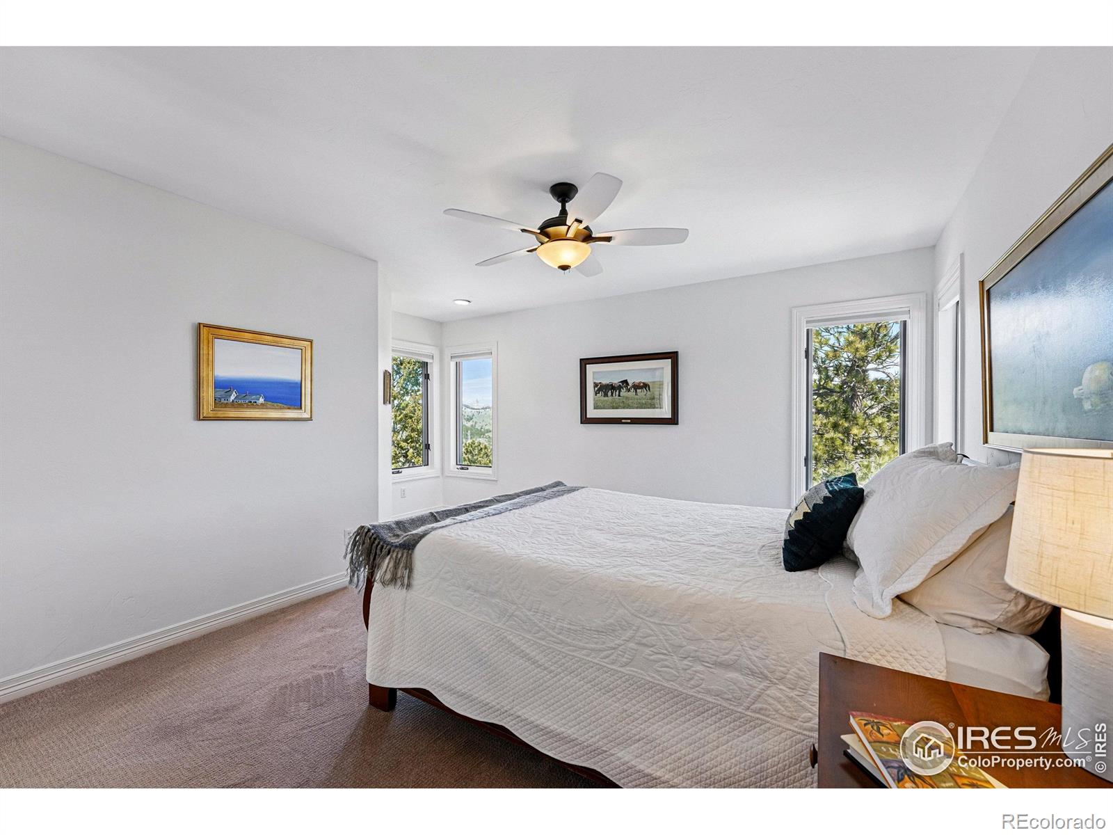 MLS Image #25 for 290  skyhill drive,evergreen, Colorado