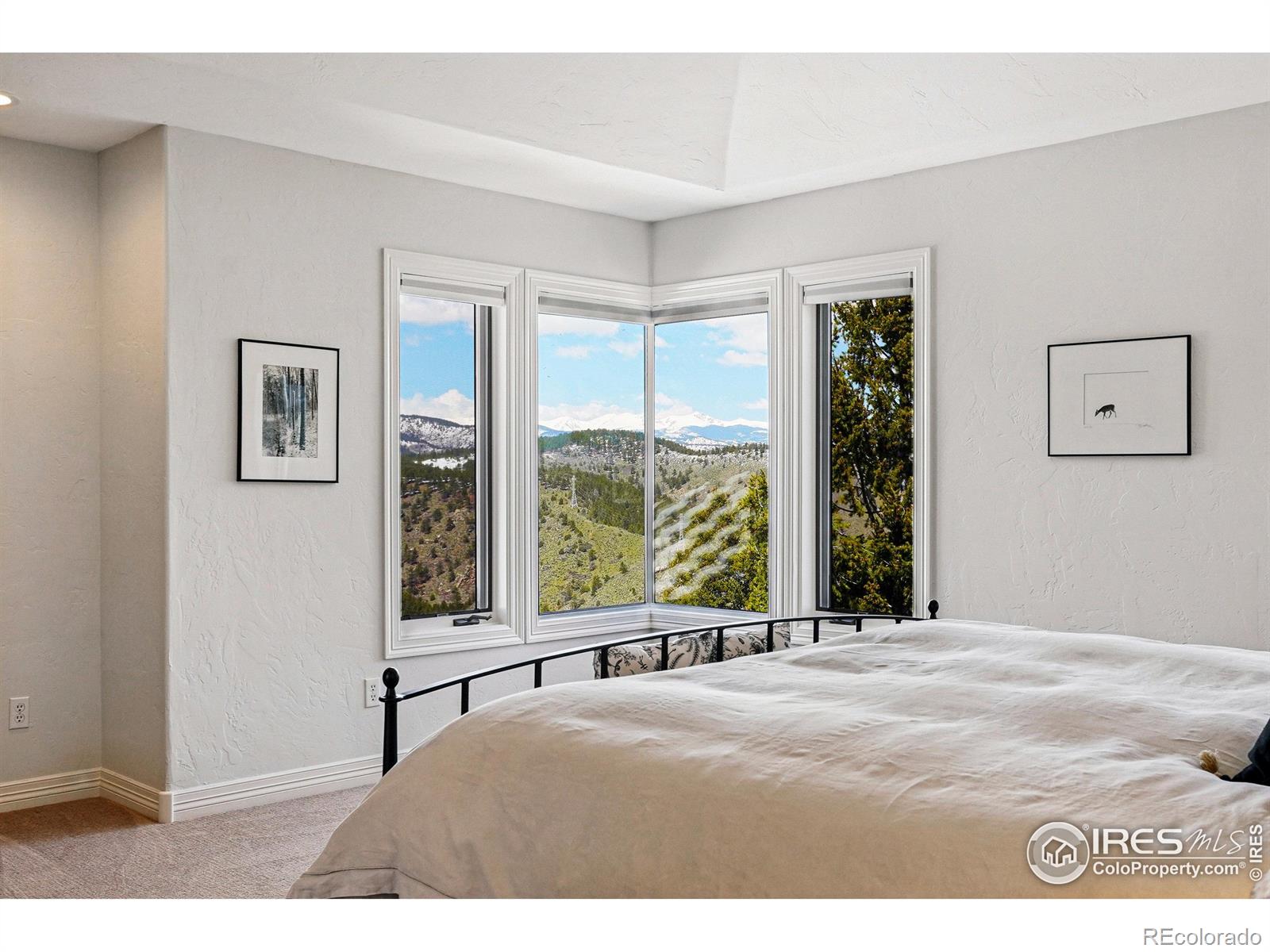 MLS Image #27 for 290  skyhill drive,evergreen, Colorado