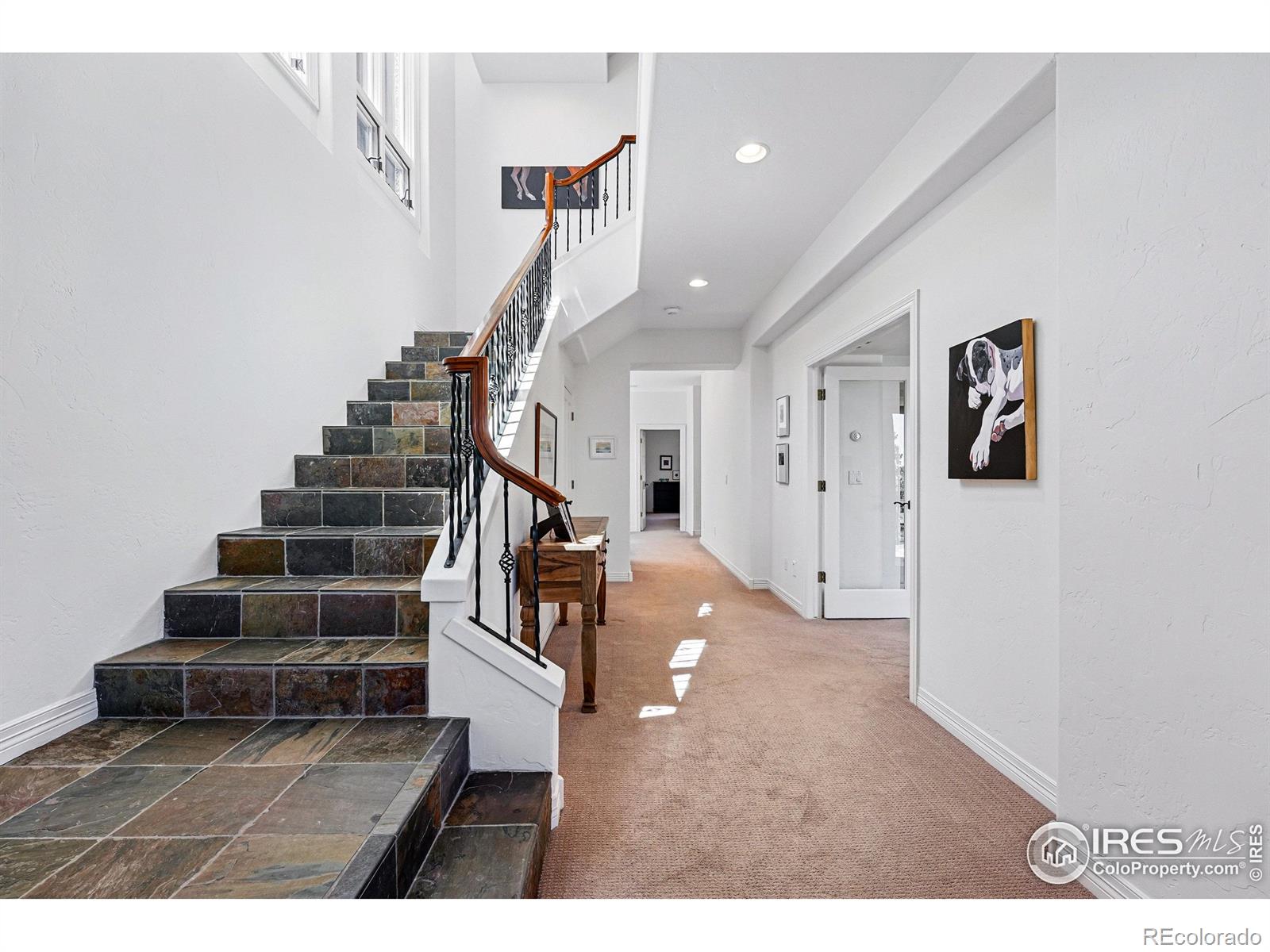 MLS Image #28 for 290  skyhill drive,evergreen, Colorado