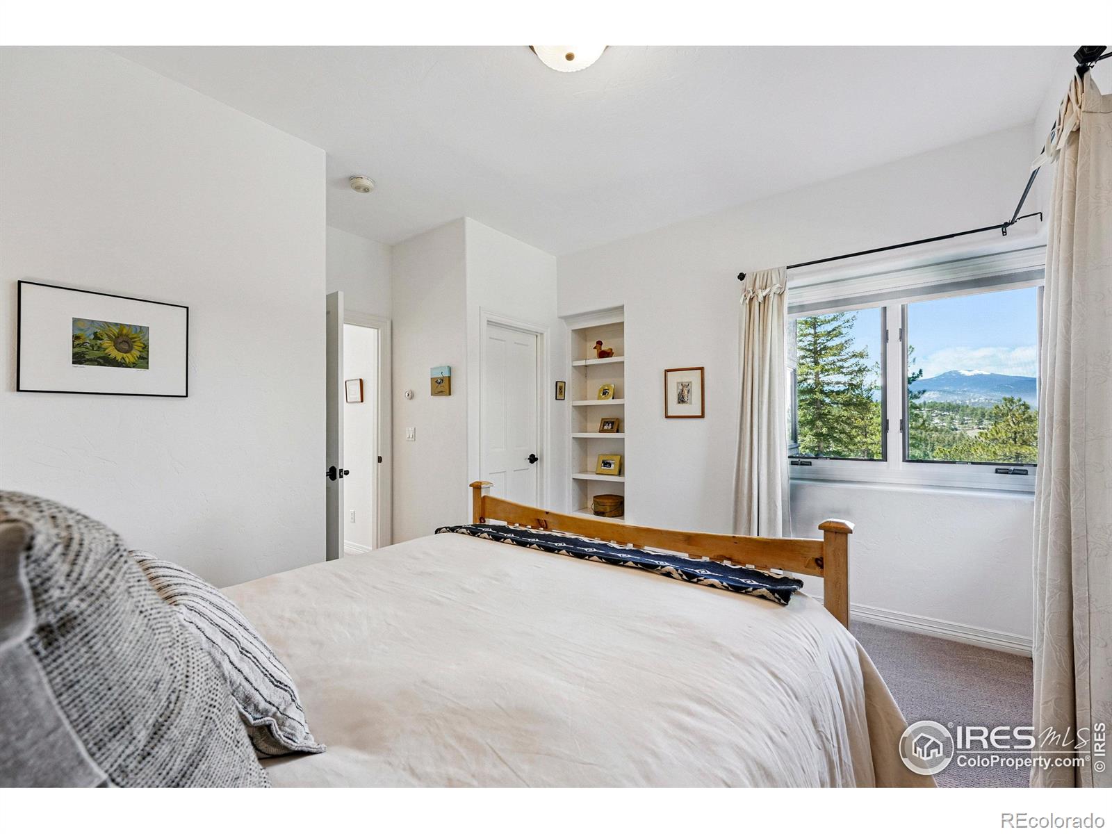 MLS Image #29 for 290  skyhill drive,evergreen, Colorado