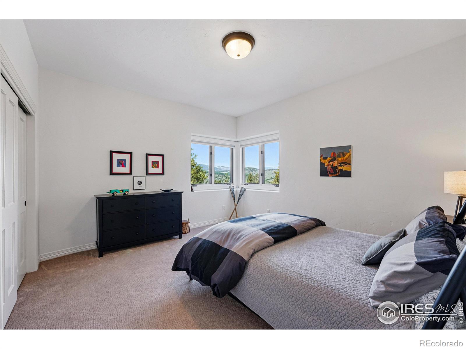 MLS Image #33 for 290  skyhill drive,evergreen, Colorado