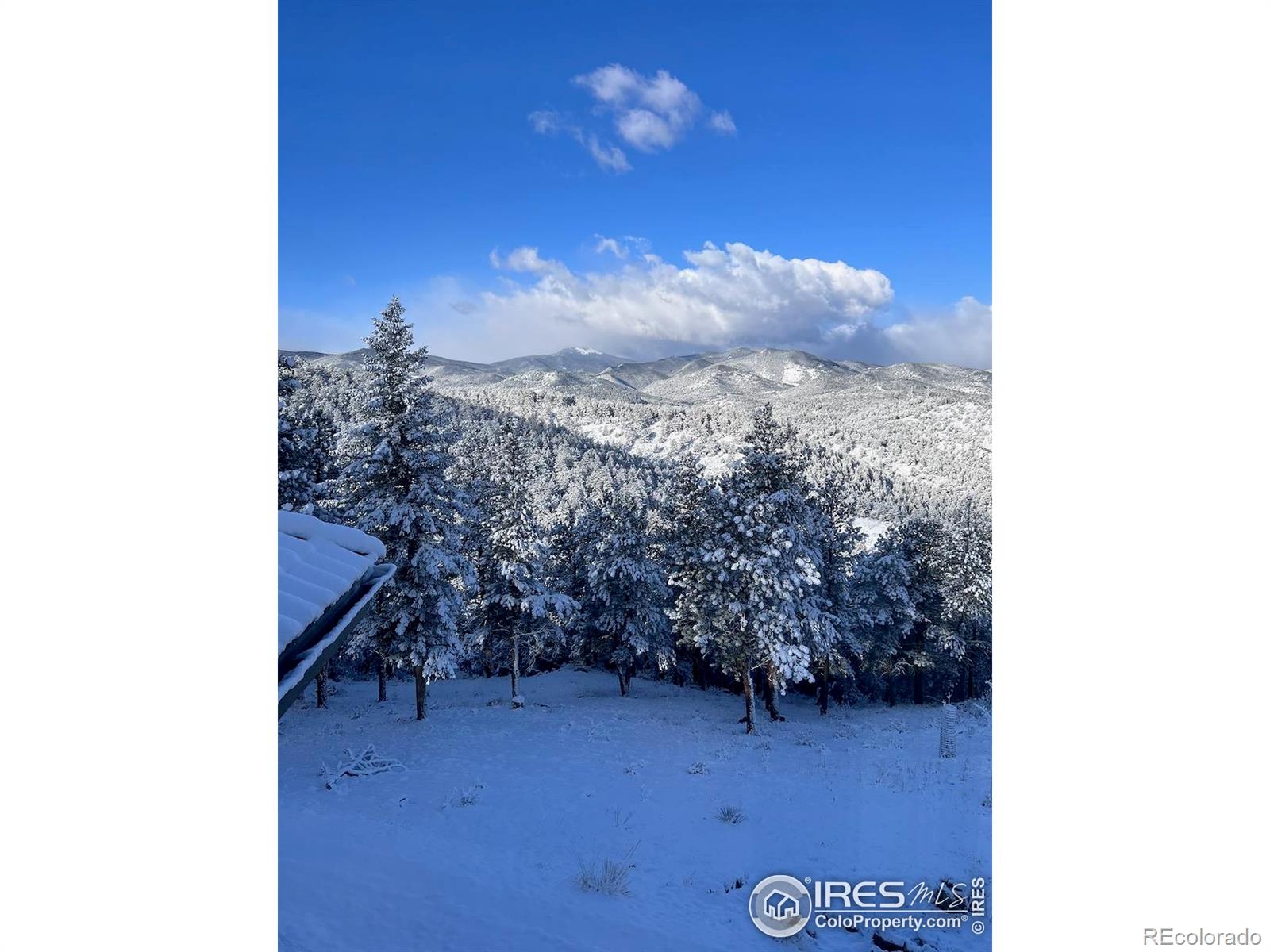 MLS Image #39 for 290  skyhill drive,evergreen, Colorado