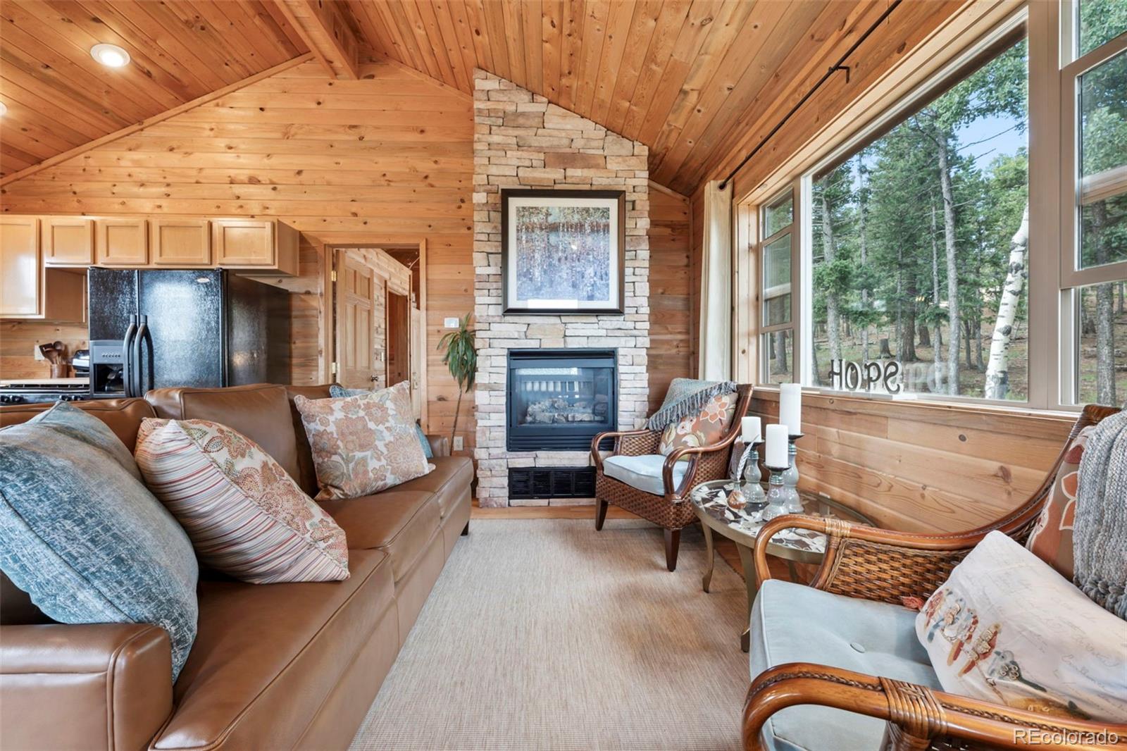 MLS Image #15 for 454  wakanda trail,woodland park, Colorado