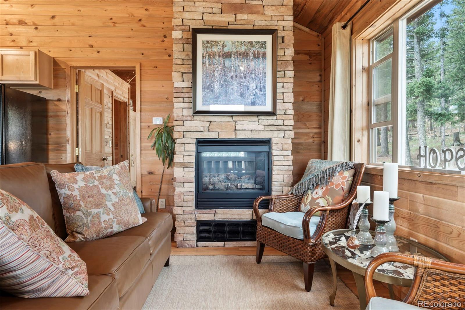 MLS Image #17 for 454  wakanda trail,woodland park, Colorado
