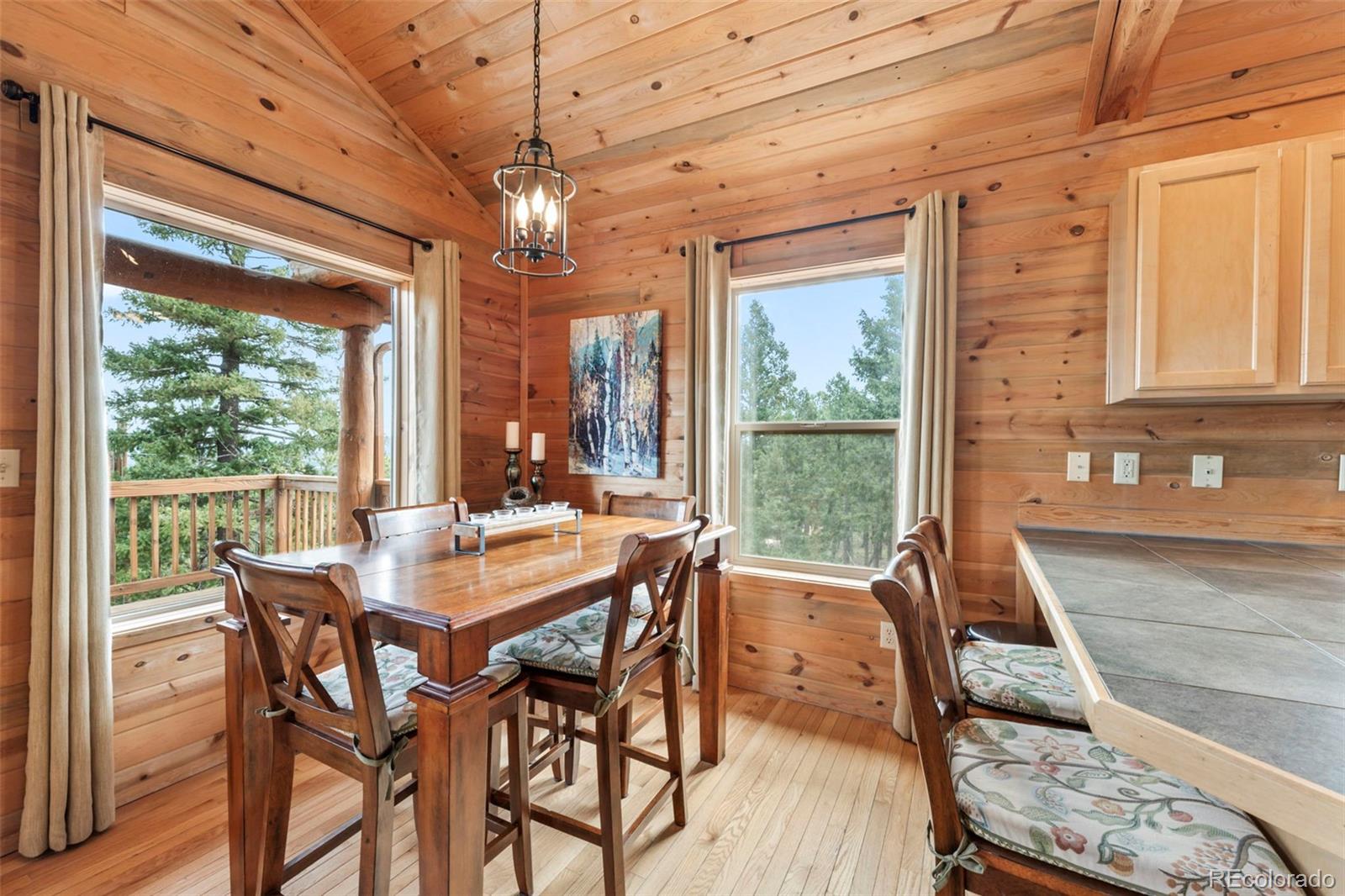 MLS Image #21 for 454  wakanda trail,woodland park, Colorado