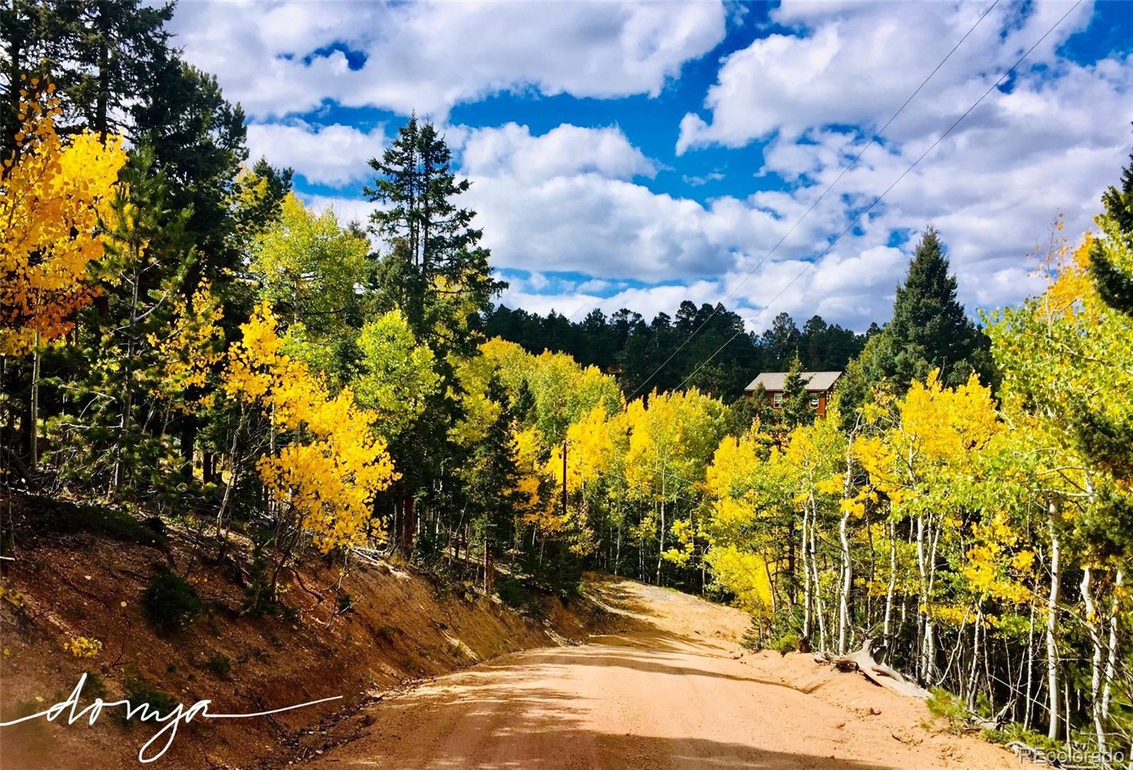 MLS Image #42 for 454  wakanda trail,woodland park, Colorado