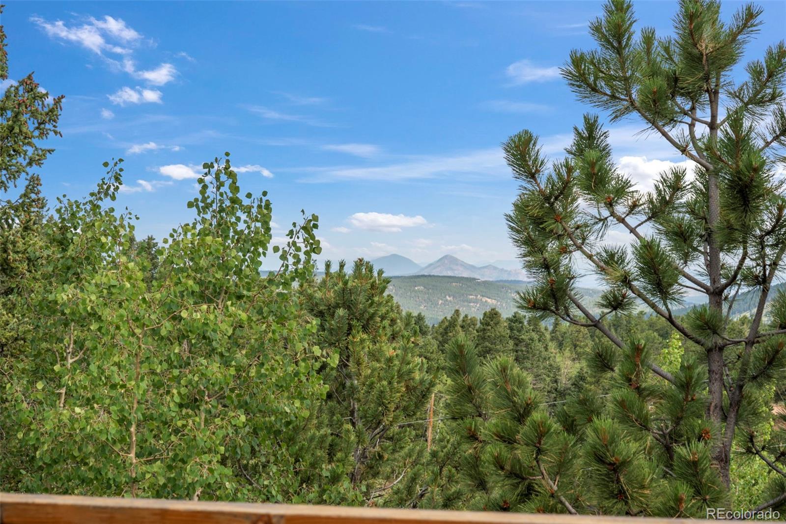 MLS Image #5 for 454  wakanda trail,woodland park, Colorado