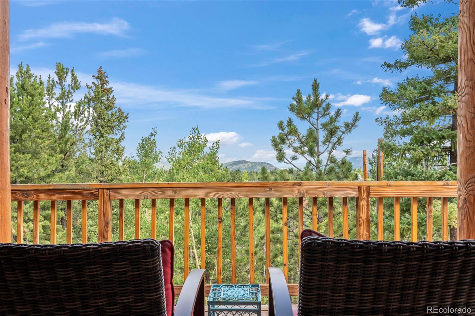 MLS Image #8 for 454  wakanda trail,woodland park, Colorado