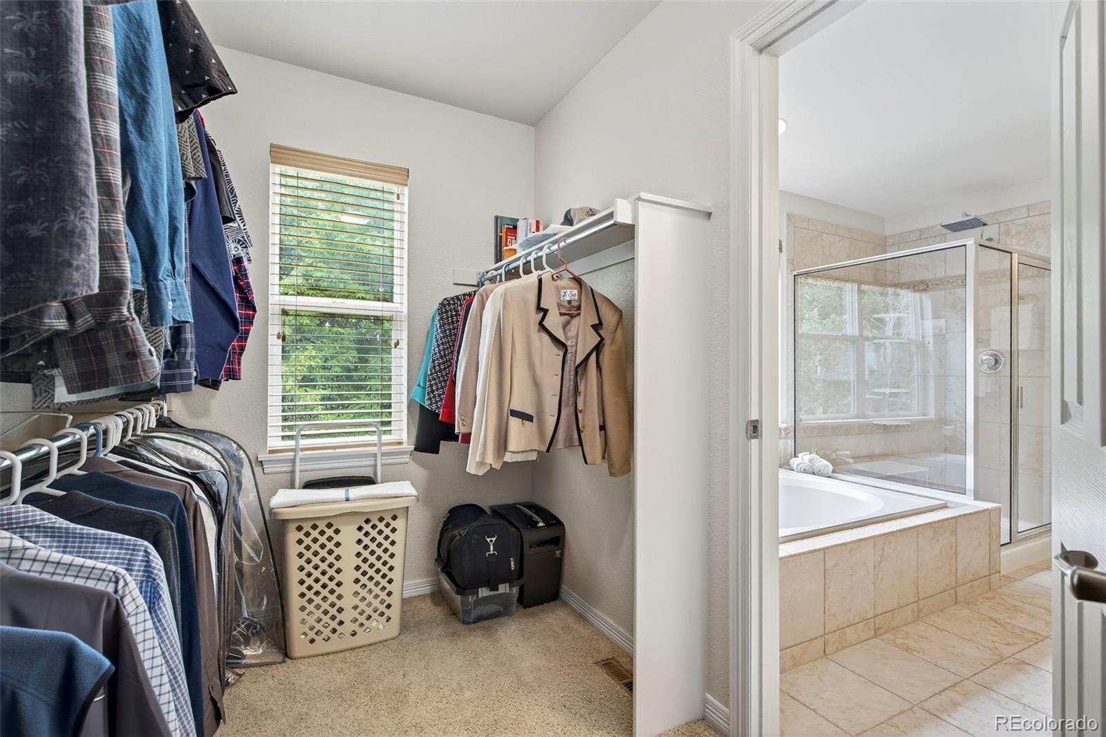 MLS Image #17 for 13774  sagar drive,broomfield, Colorado