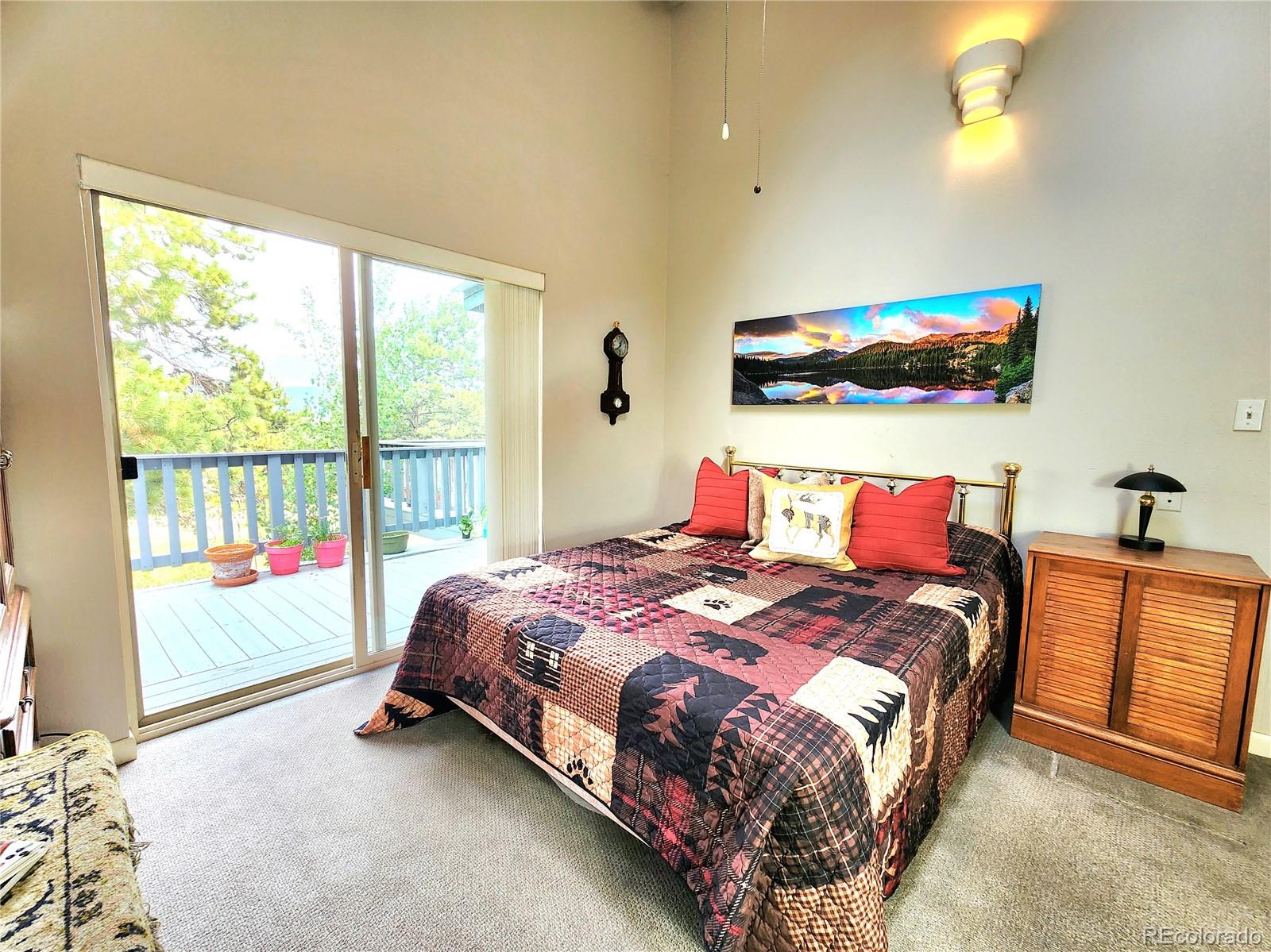 MLS Image #18 for 305  comanche drive,florissant, Colorado