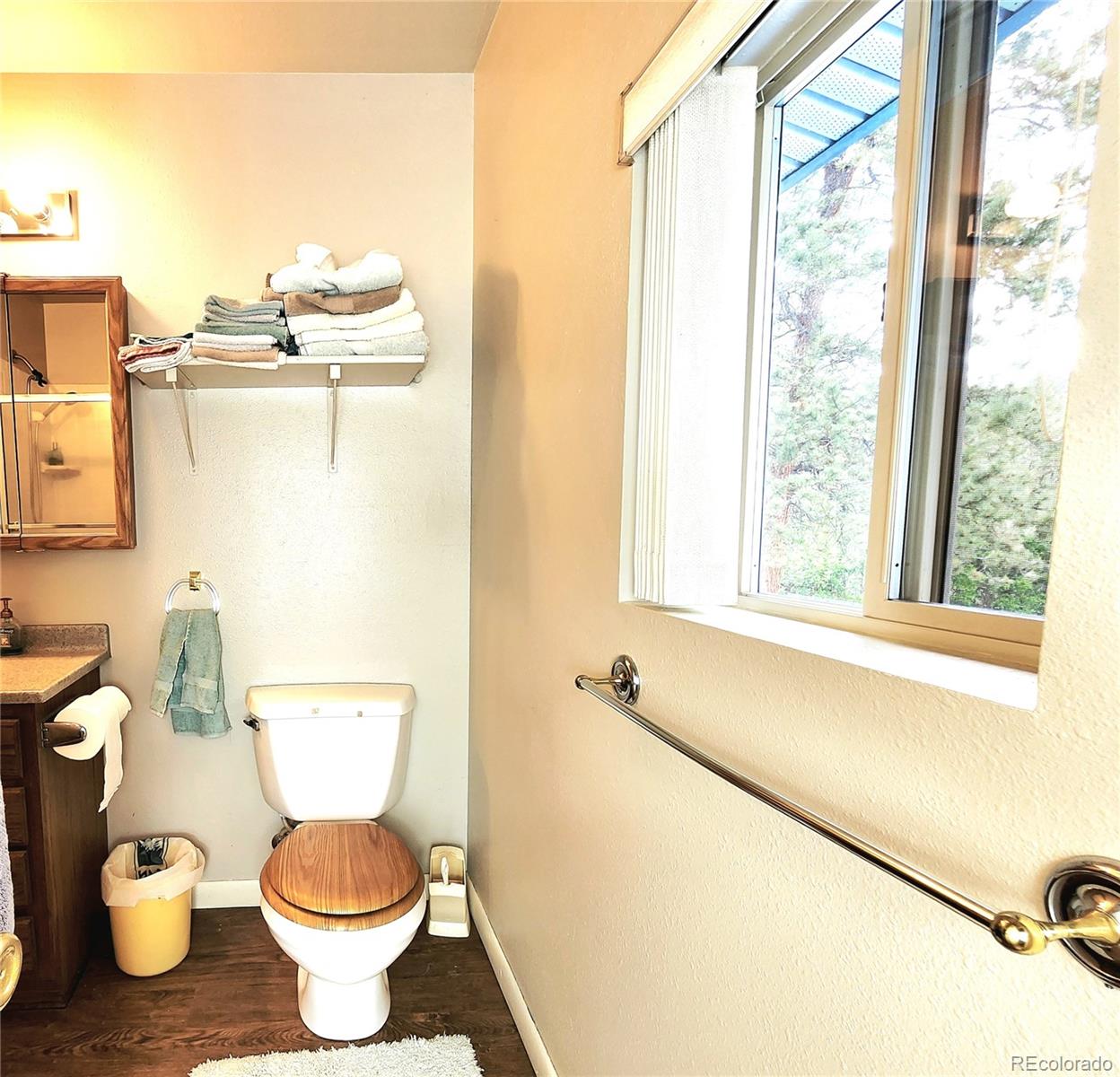 MLS Image #20 for 305  comanche drive,florissant, Colorado