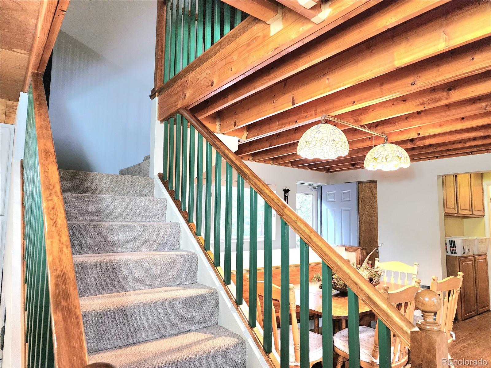 MLS Image #23 for 305  comanche drive,florissant, Colorado