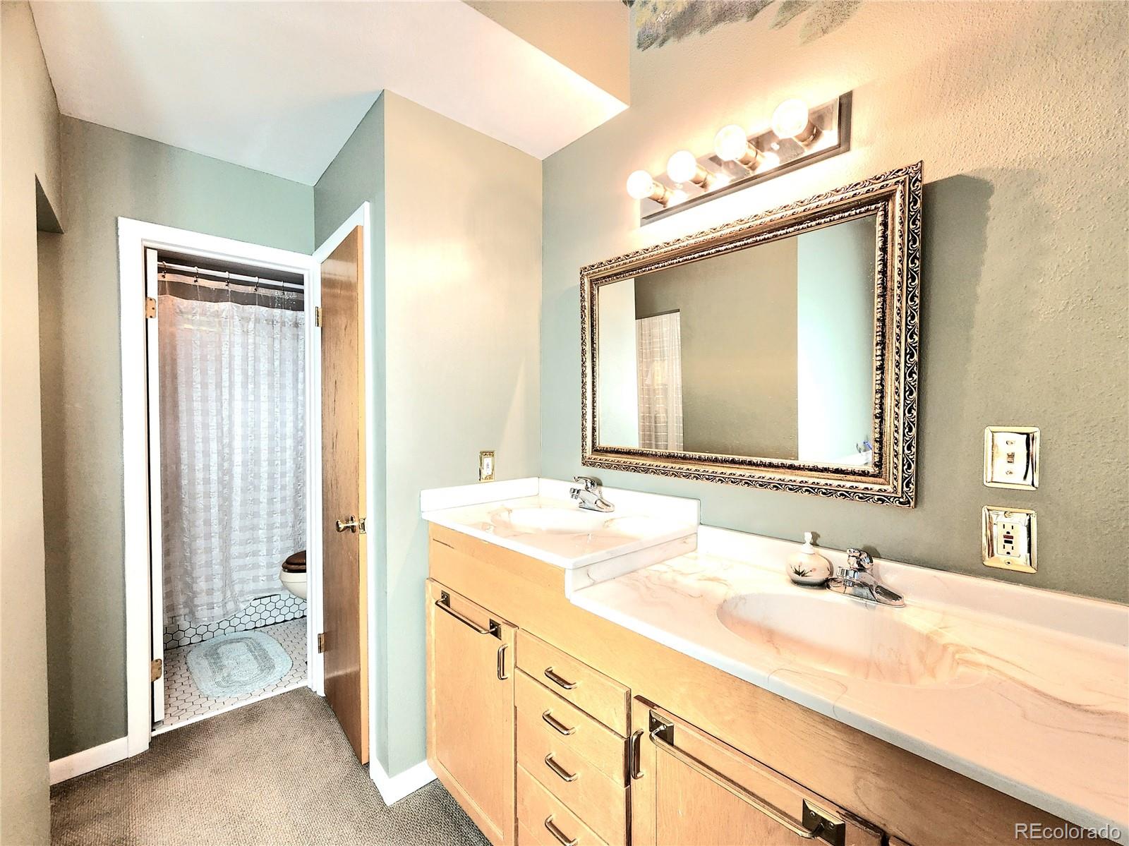 MLS Image #35 for 305  comanche drive,florissant, Colorado
