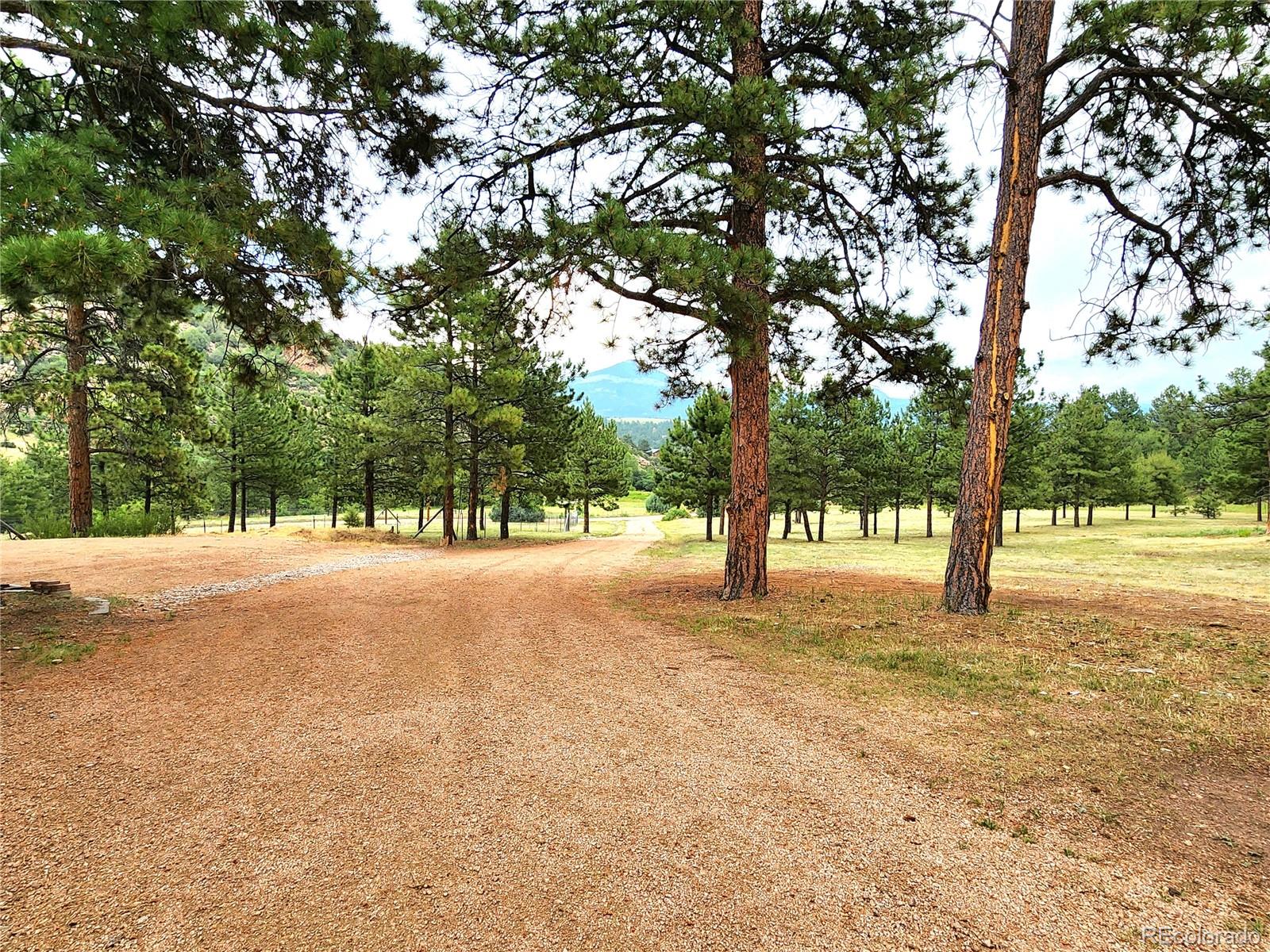 MLS Image #44 for 305  comanche drive,florissant, Colorado