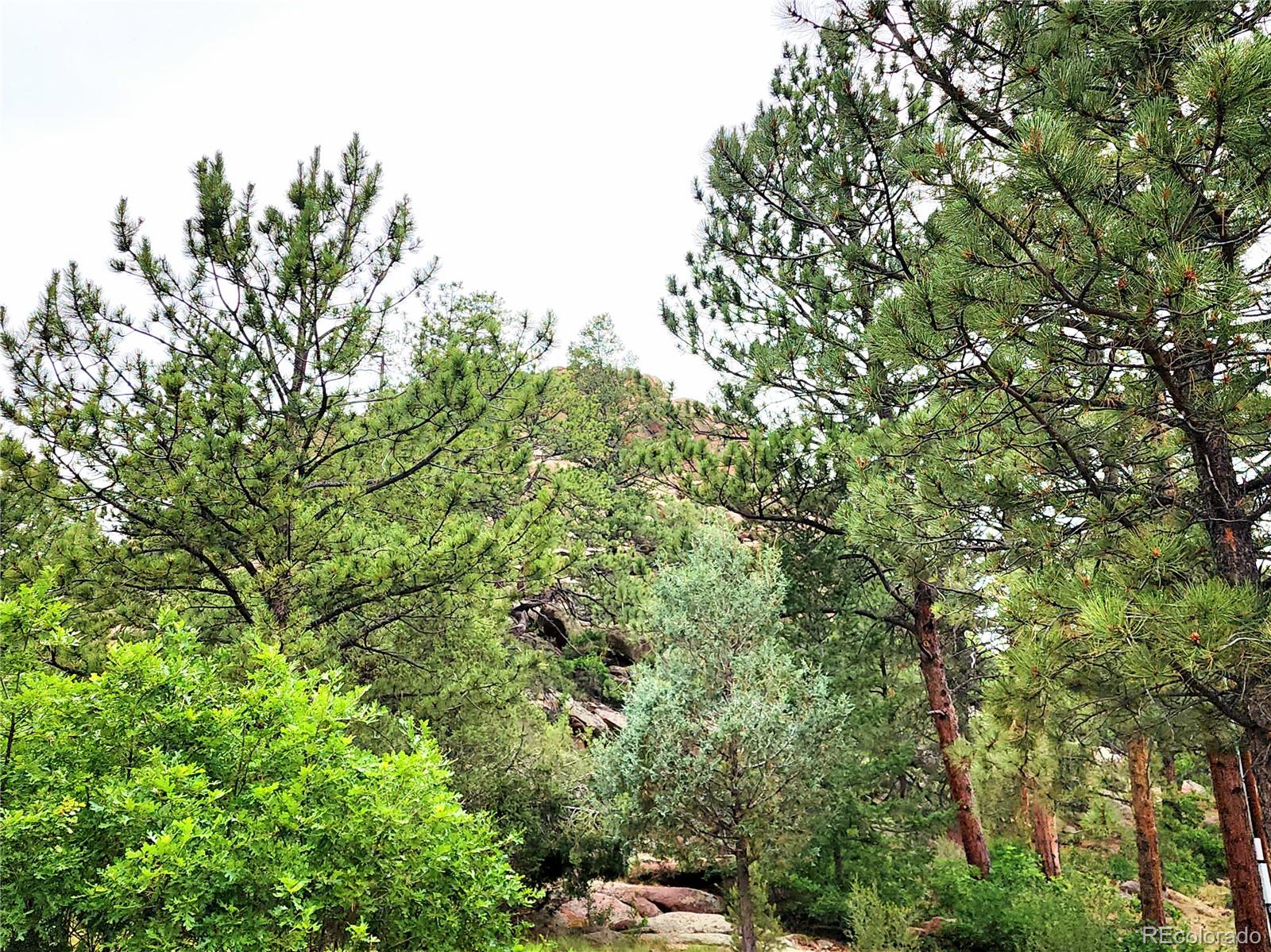 MLS Image #49 for 305  comanche drive,florissant, Colorado