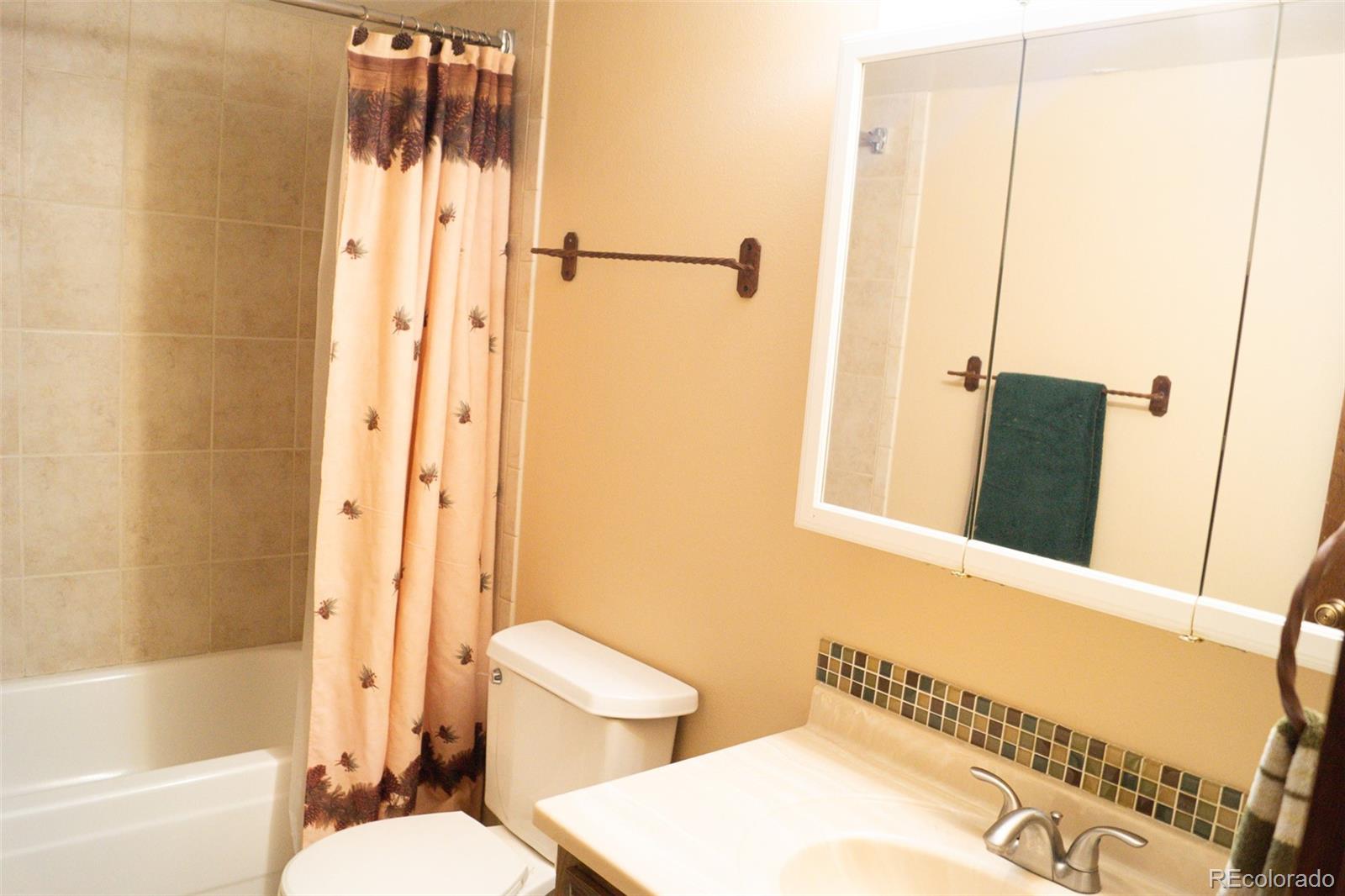 MLS Image #16 for 309  county road 804 ,fraser, Colorado