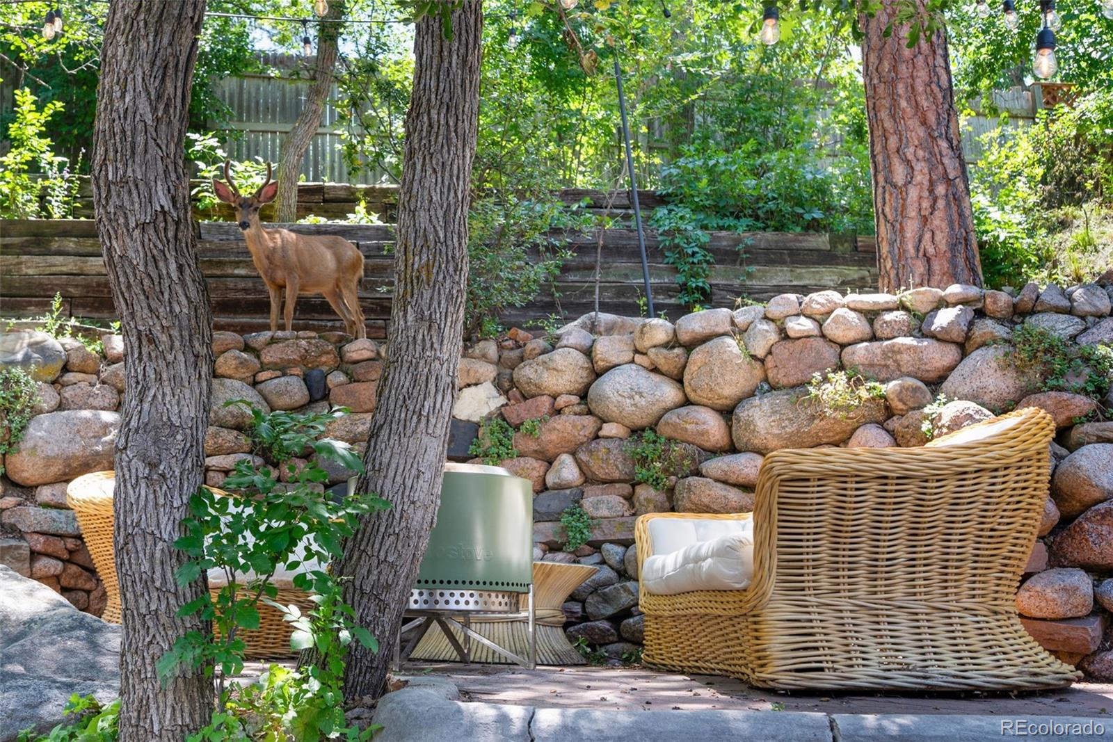 MLS Image #25 for 1517  winfield avenue,colorado springs, Colorado