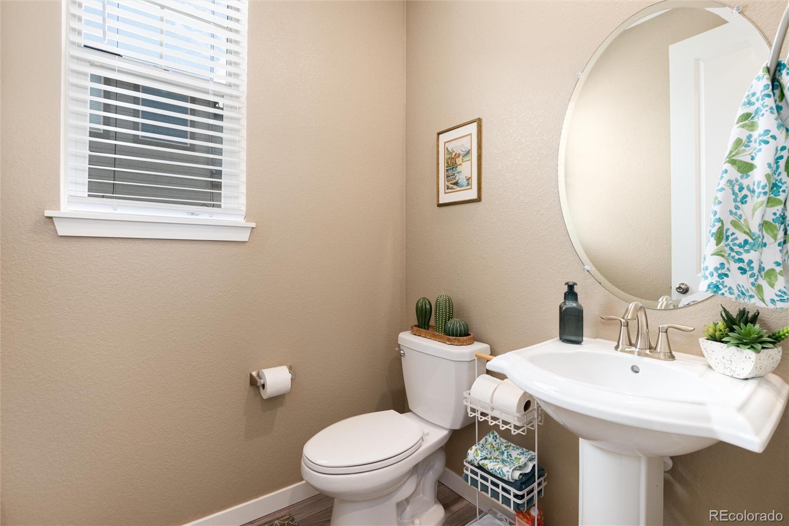 MLS Image #24 for 8392  bijou creek avenue,littleton, Colorado