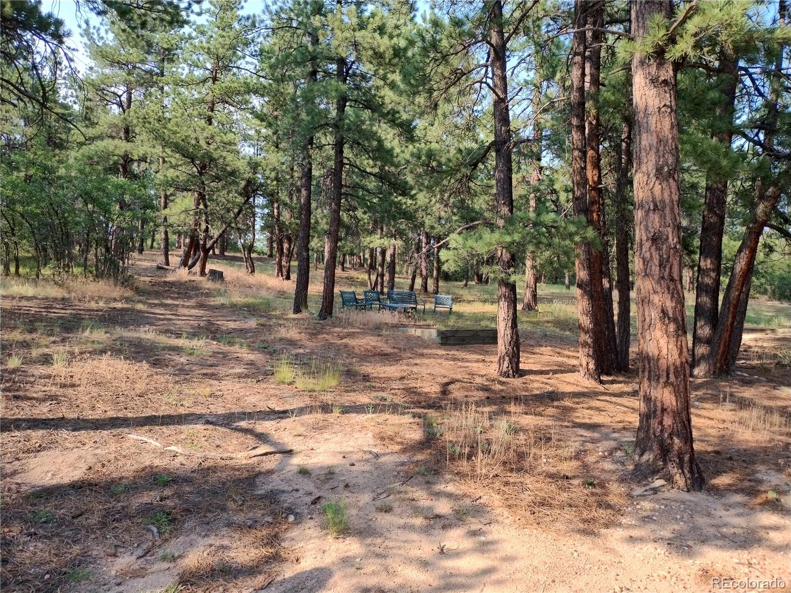 MLS Image #5 for 2143  perry park avenue,larkspur, Colorado