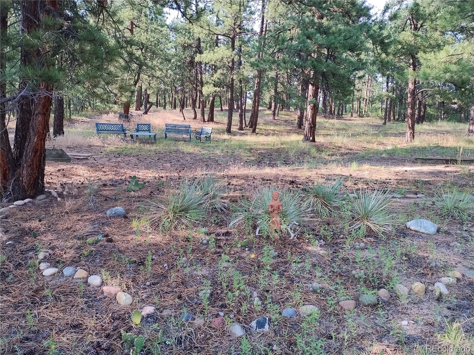 MLS Image #6 for 2143  perry park avenue,larkspur, Colorado