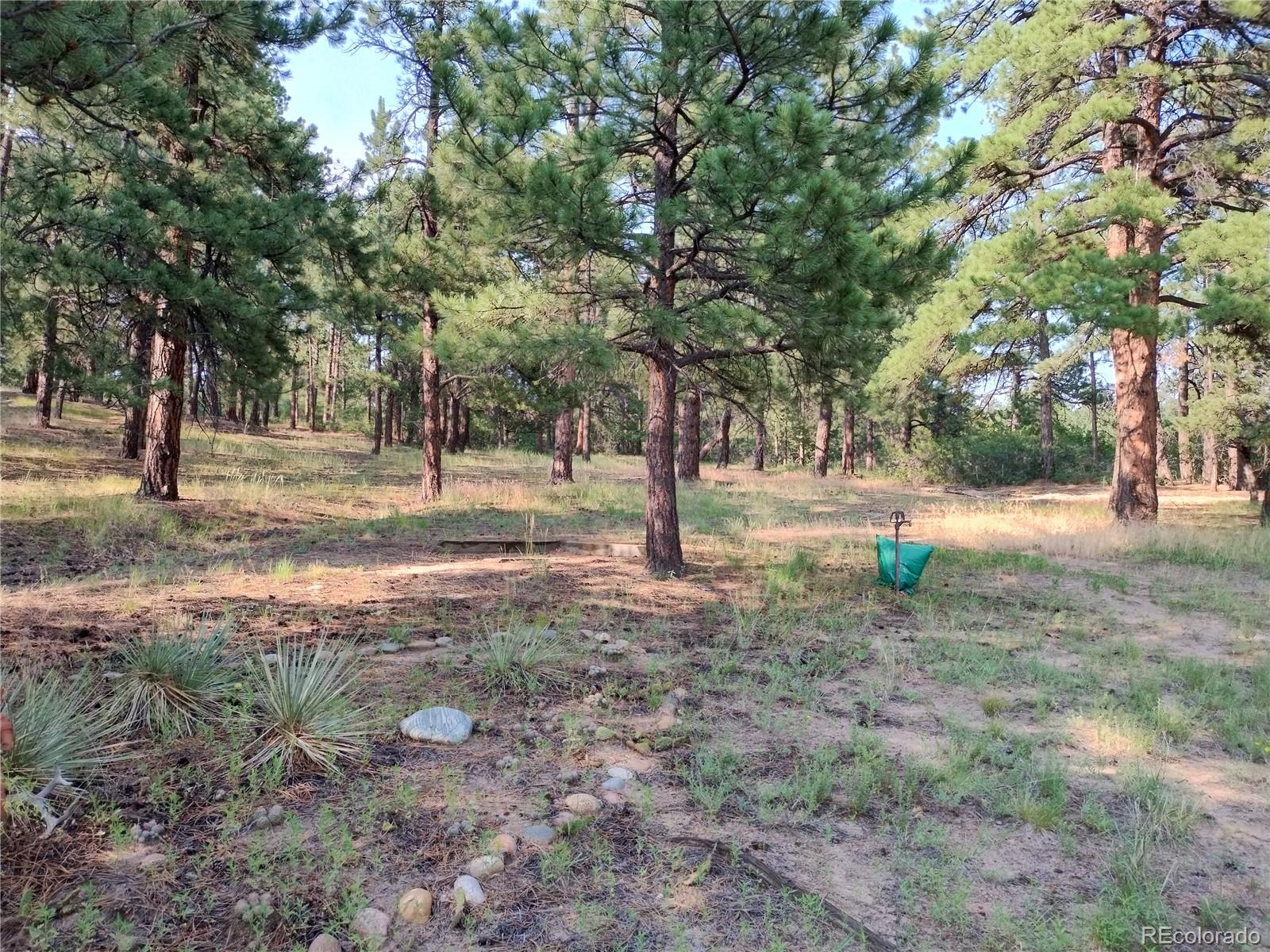 MLS Image #7 for 2143  perry park avenue,larkspur, Colorado