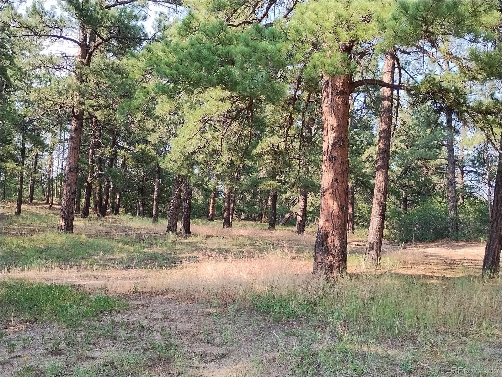 MLS Image #8 for 2143  perry park avenue,larkspur, Colorado