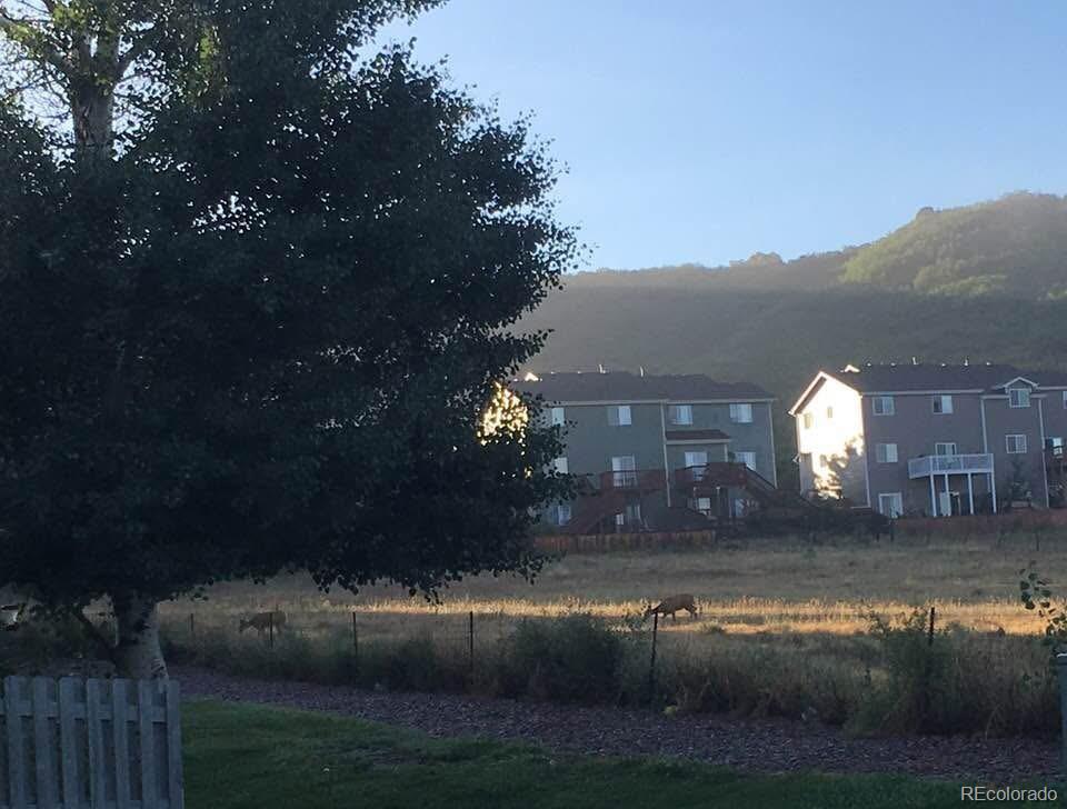 MLS Image #11 for 2016  oakcrest circle ,castle rock, Colorado