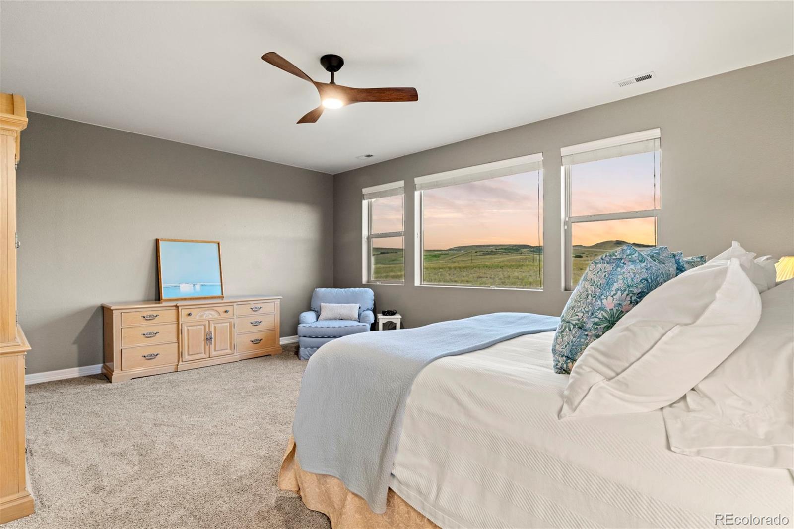 MLS Image #23 for 11855  deorio street,parker, Colorado
