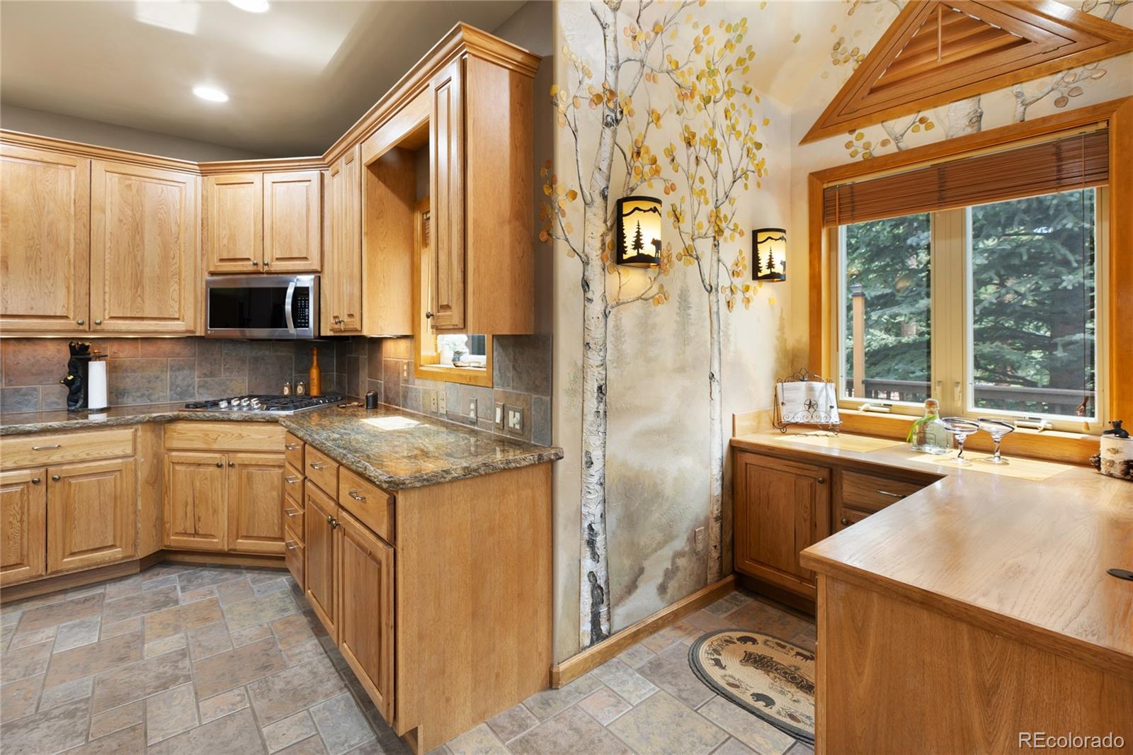 MLS Image #11 for 591  skyline drive,woodland park, Colorado