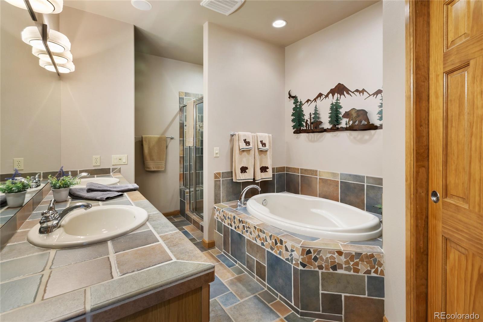 MLS Image #28 for 591  skyline drive,woodland park, Colorado