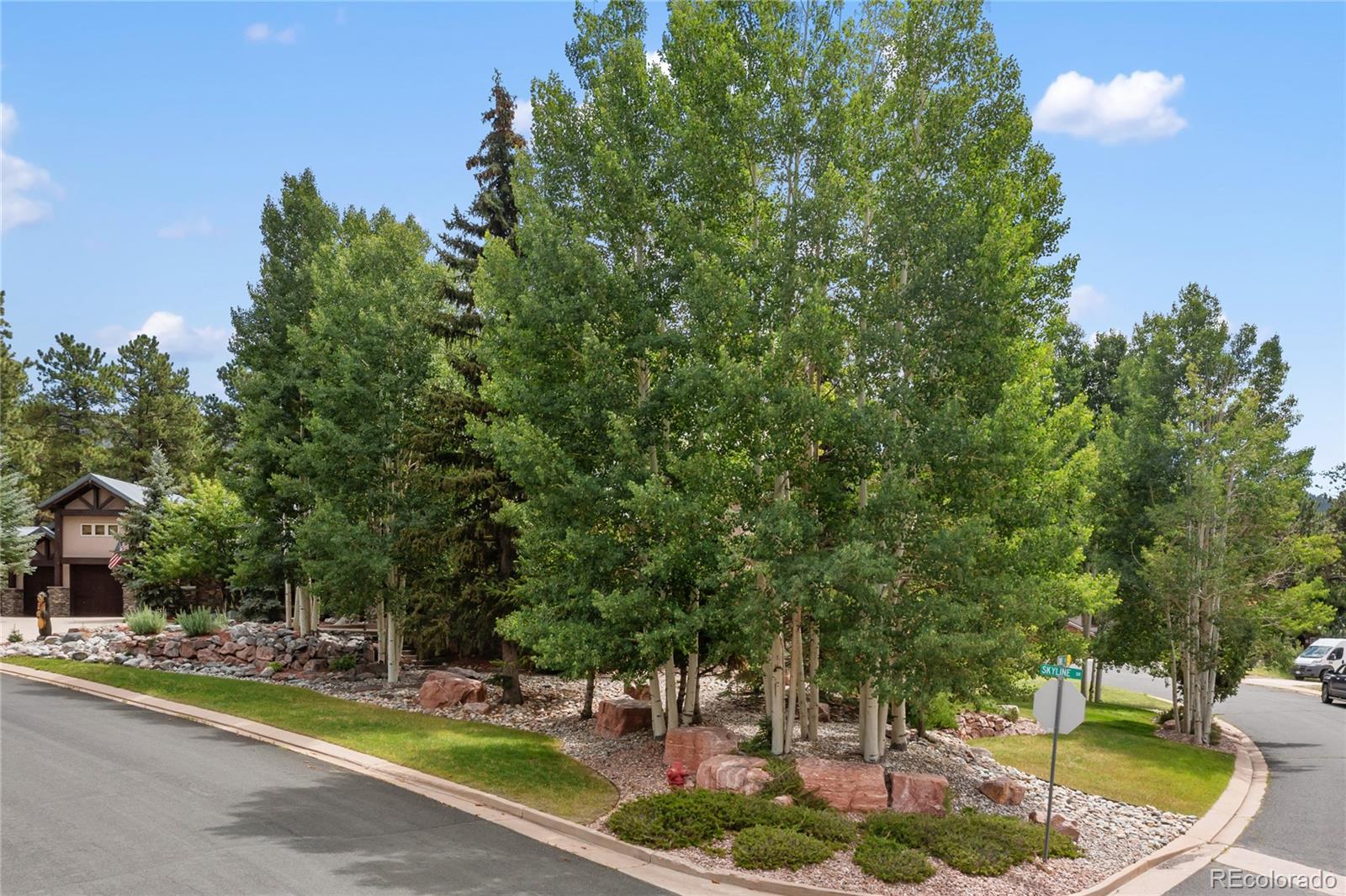 MLS Image #7 for 591  skyline drive,woodland park, Colorado