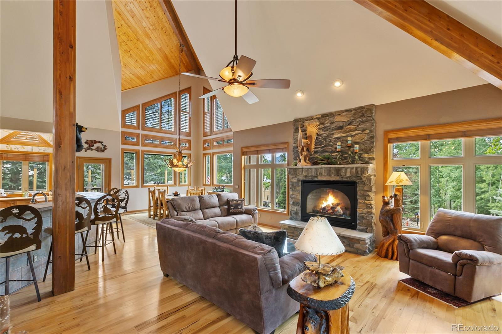MLS Image #8 for 591  skyline drive,woodland park, Colorado