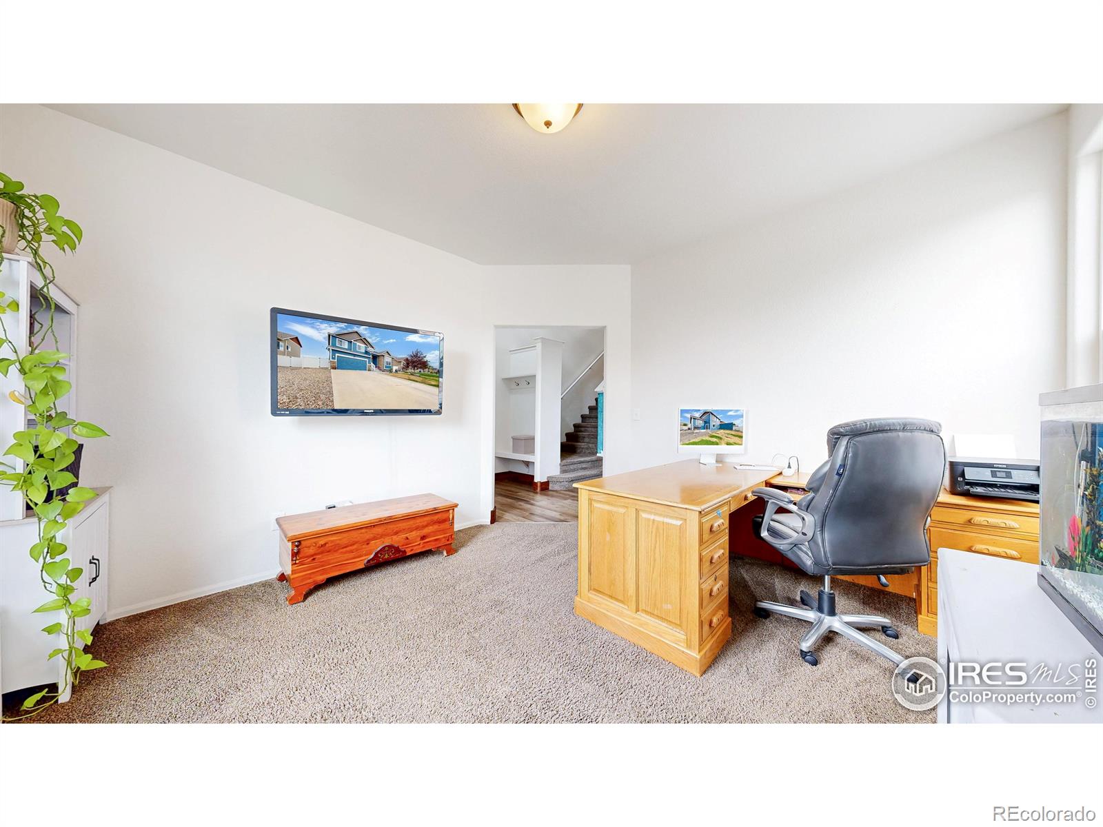 MLS Image #14 for 7437  home stretch drive,wellington, Colorado