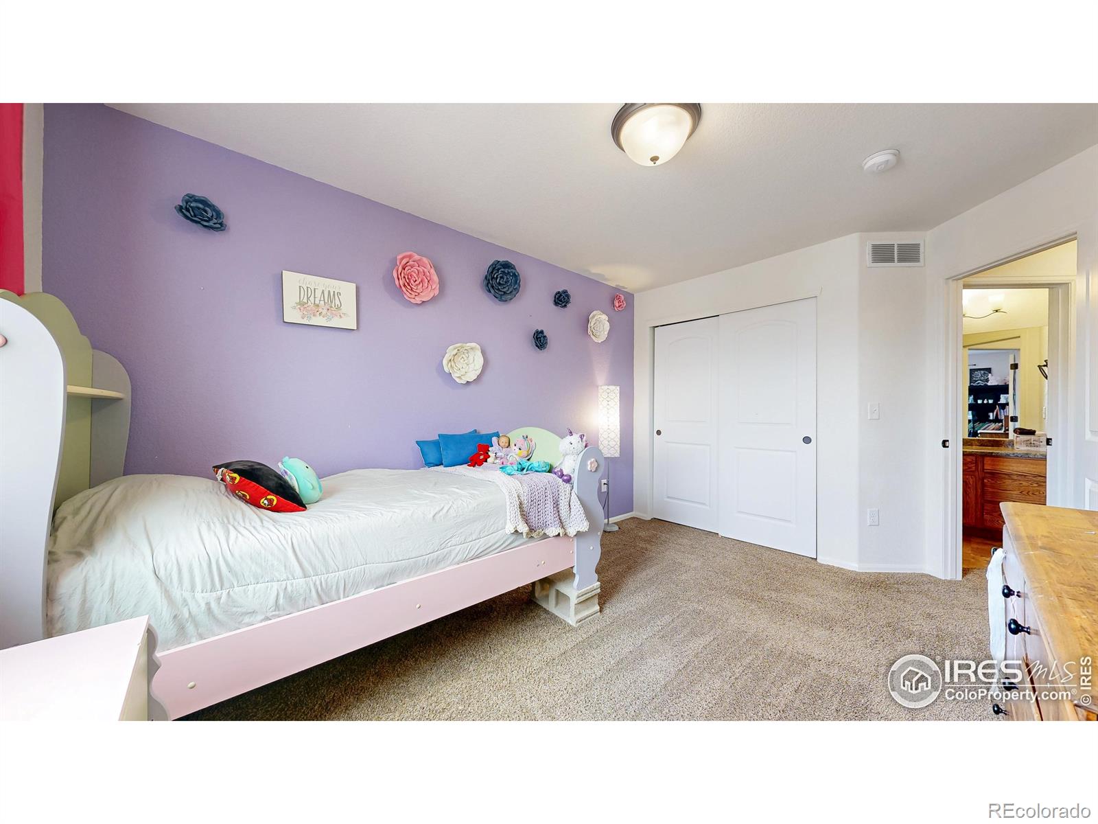 MLS Image #20 for 7437  home stretch drive,wellington, Colorado
