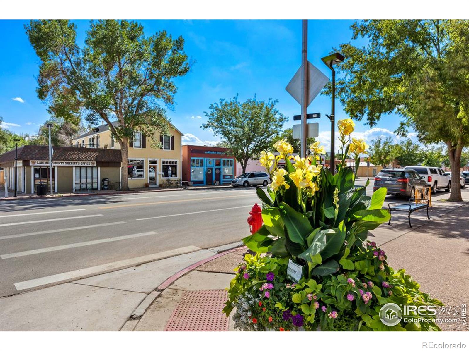 MLS Image #39 for 7437  home stretch drive,wellington, Colorado