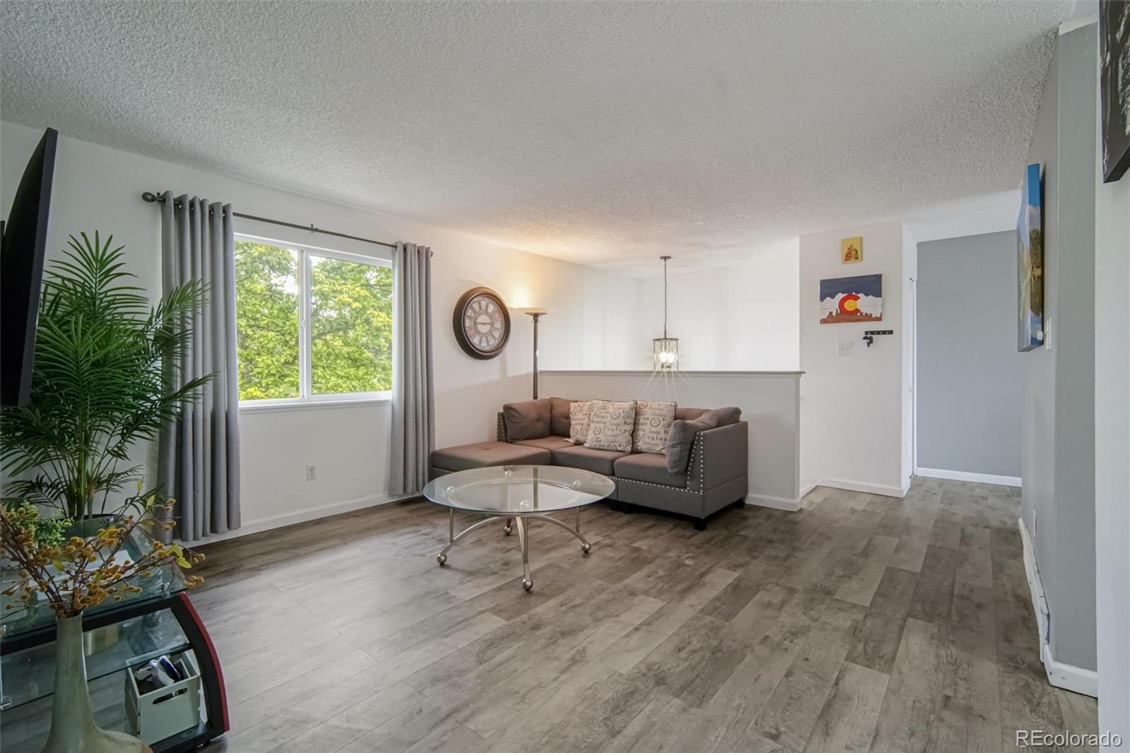 MLS Image #4 for 700  elbert street,denver, Colorado