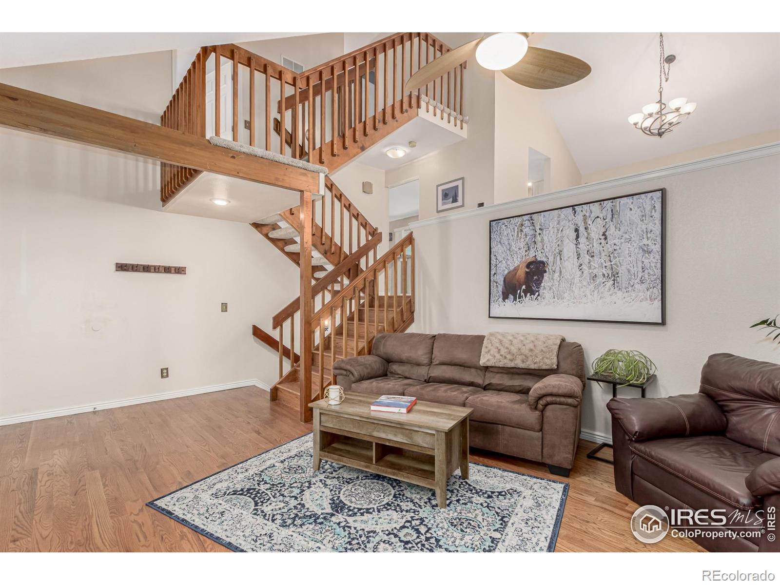 MLS Image #3 for 11417  king way,westminster, Colorado